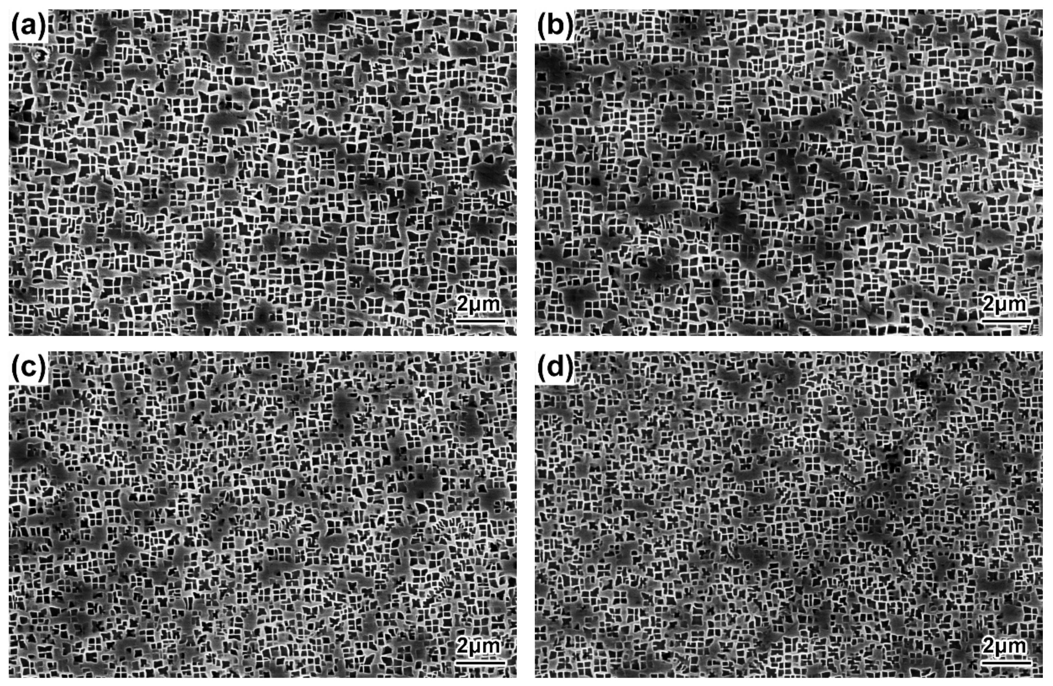 Materials 16 03409 g005