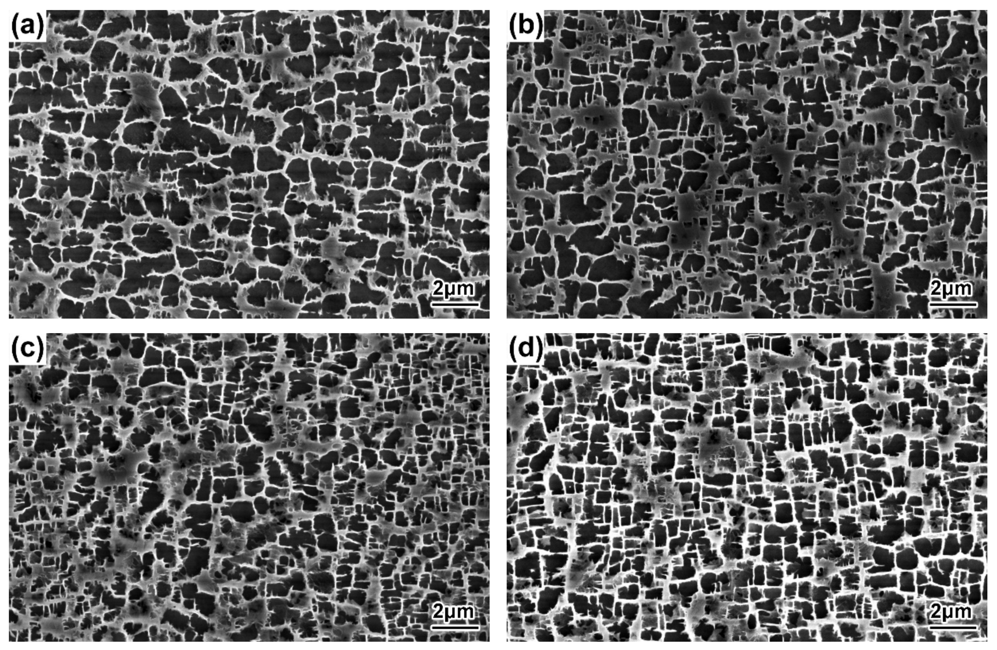 Materials 16 03409 g006