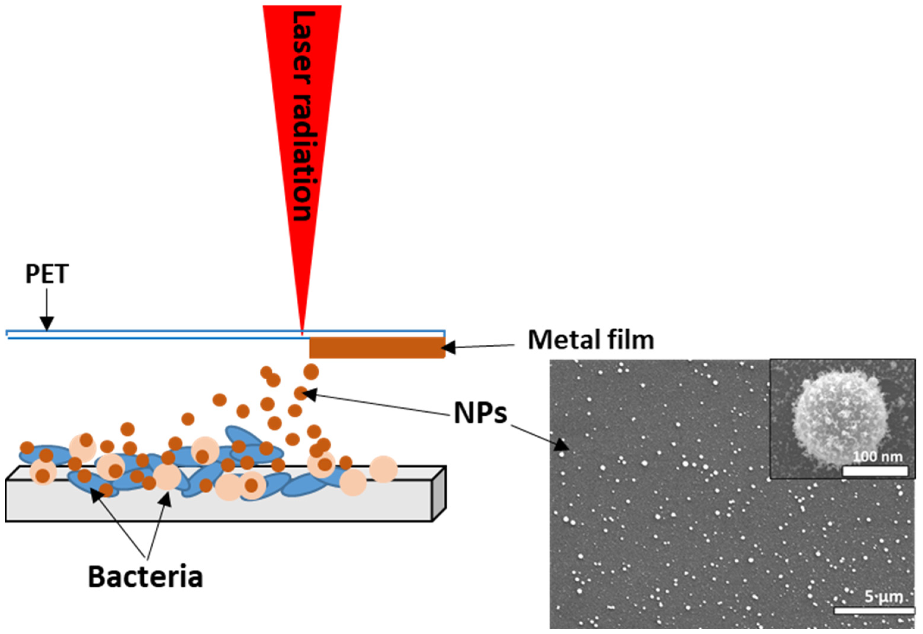 Materials 16 04309 g001