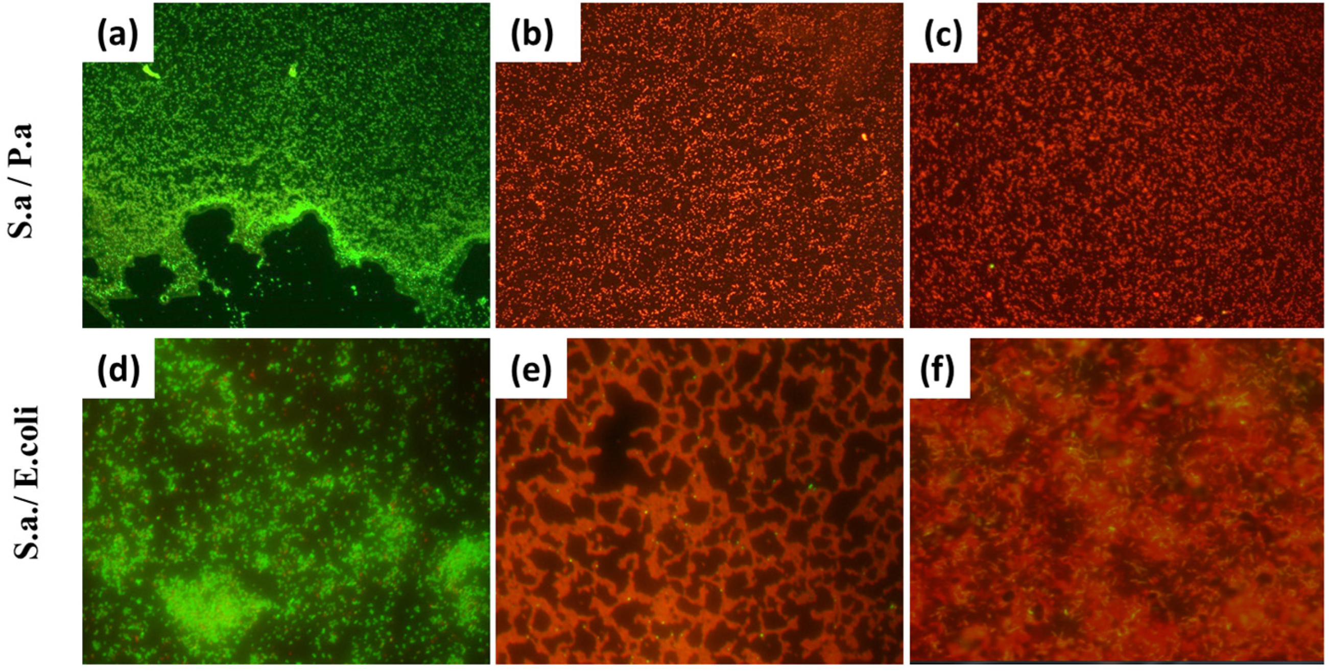 Materials 16 04309 g005