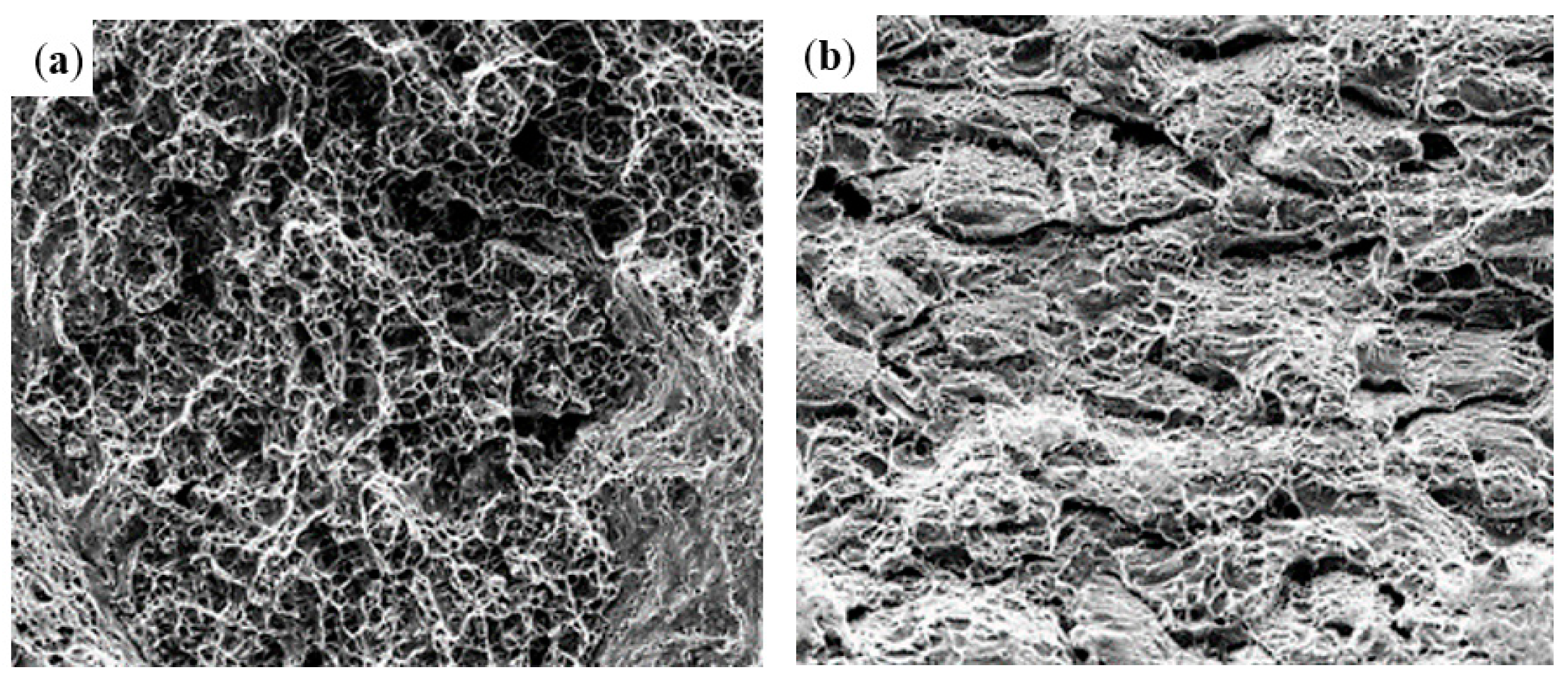 Materials 16 04474 g007