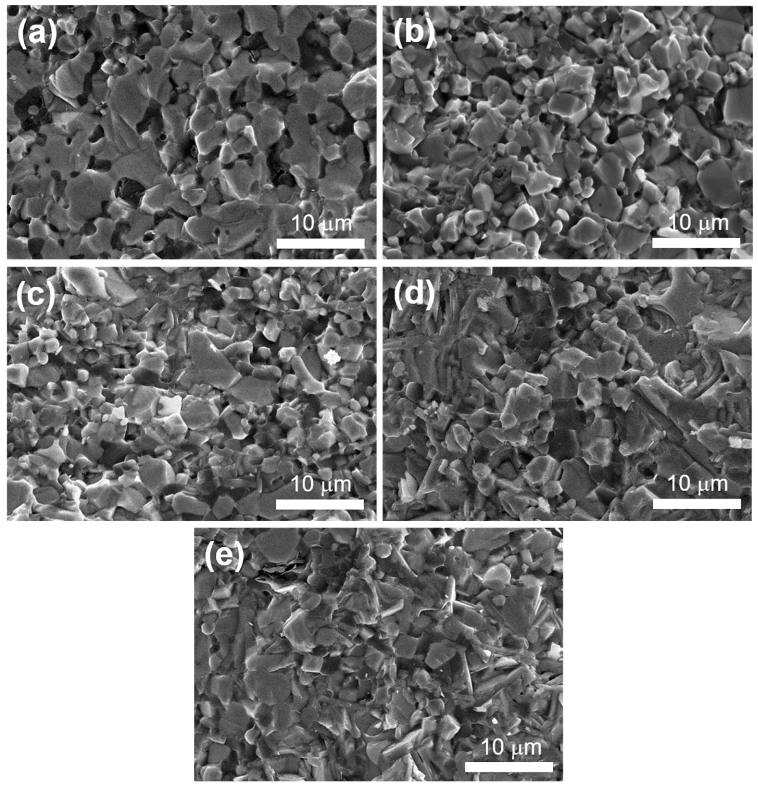 Materials 16 04495 g004