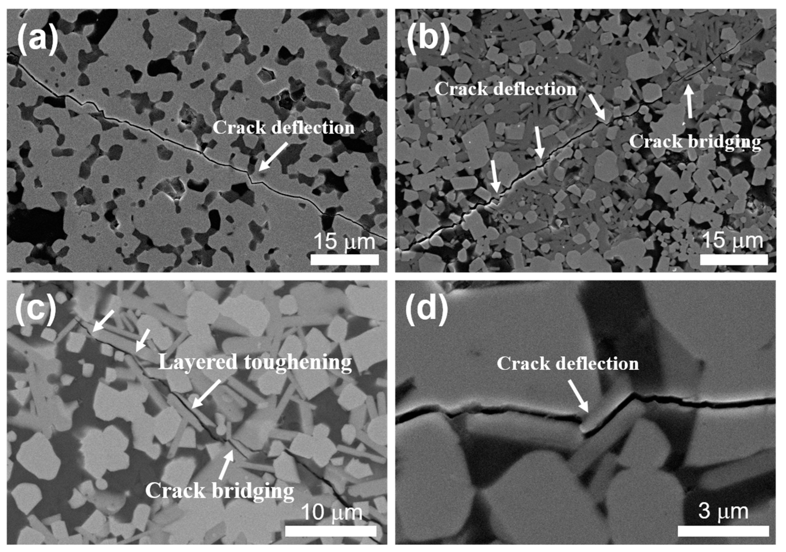 Materials 16 04495 g005