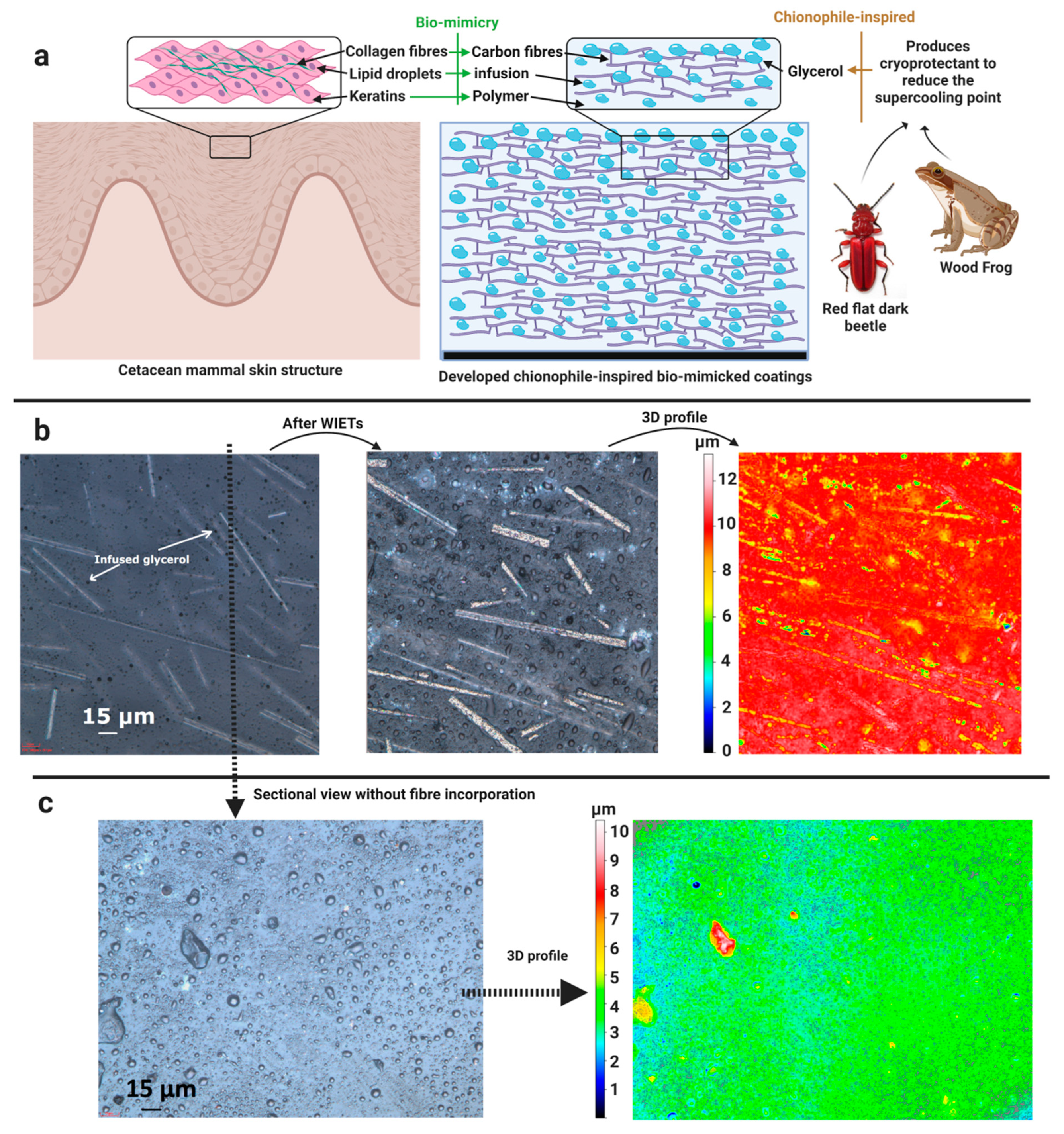 Materials 16 04607 g014
