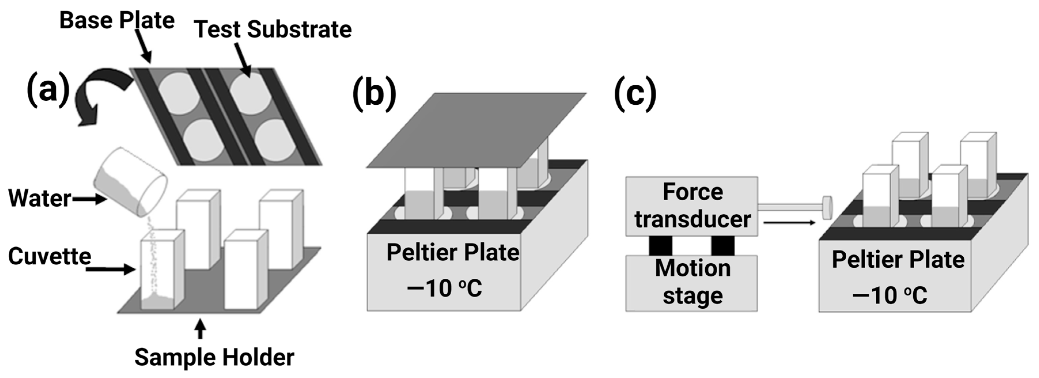 Materials 16 04607 g017