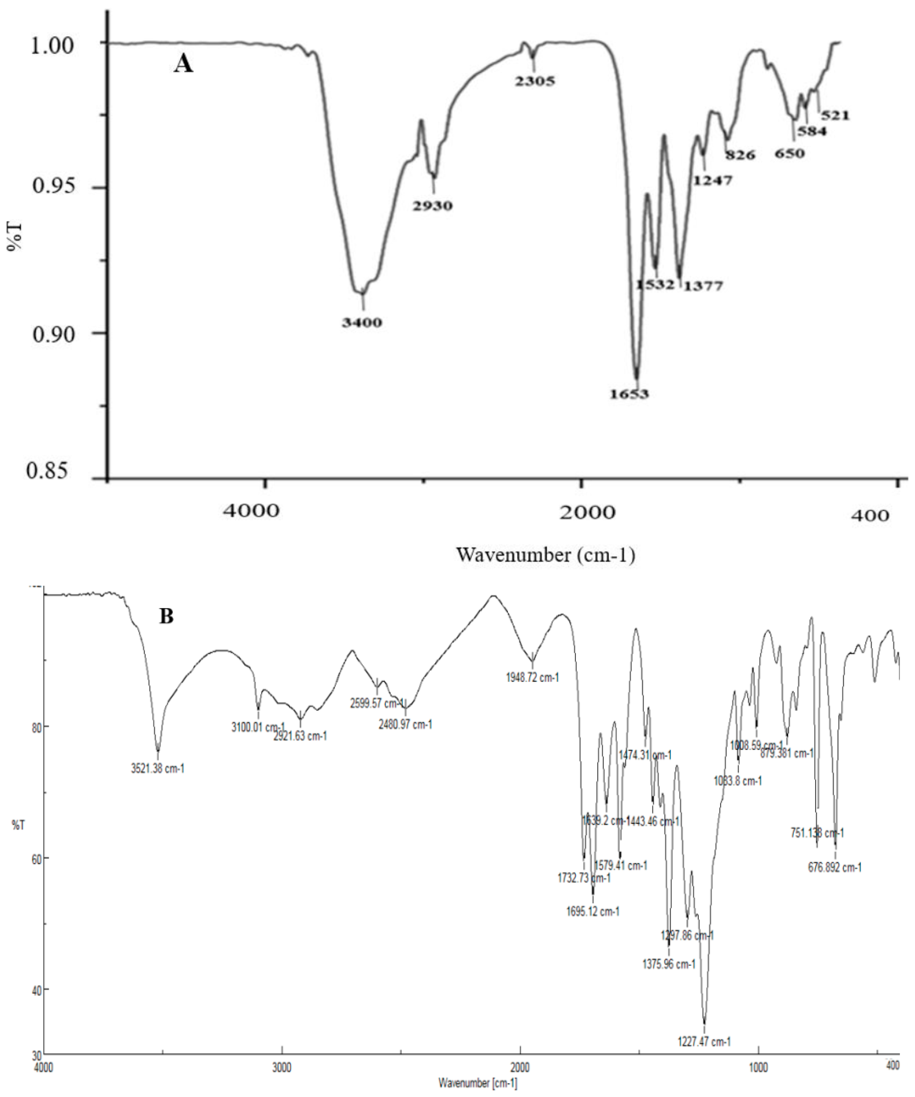 Materials 16 04670 g006a