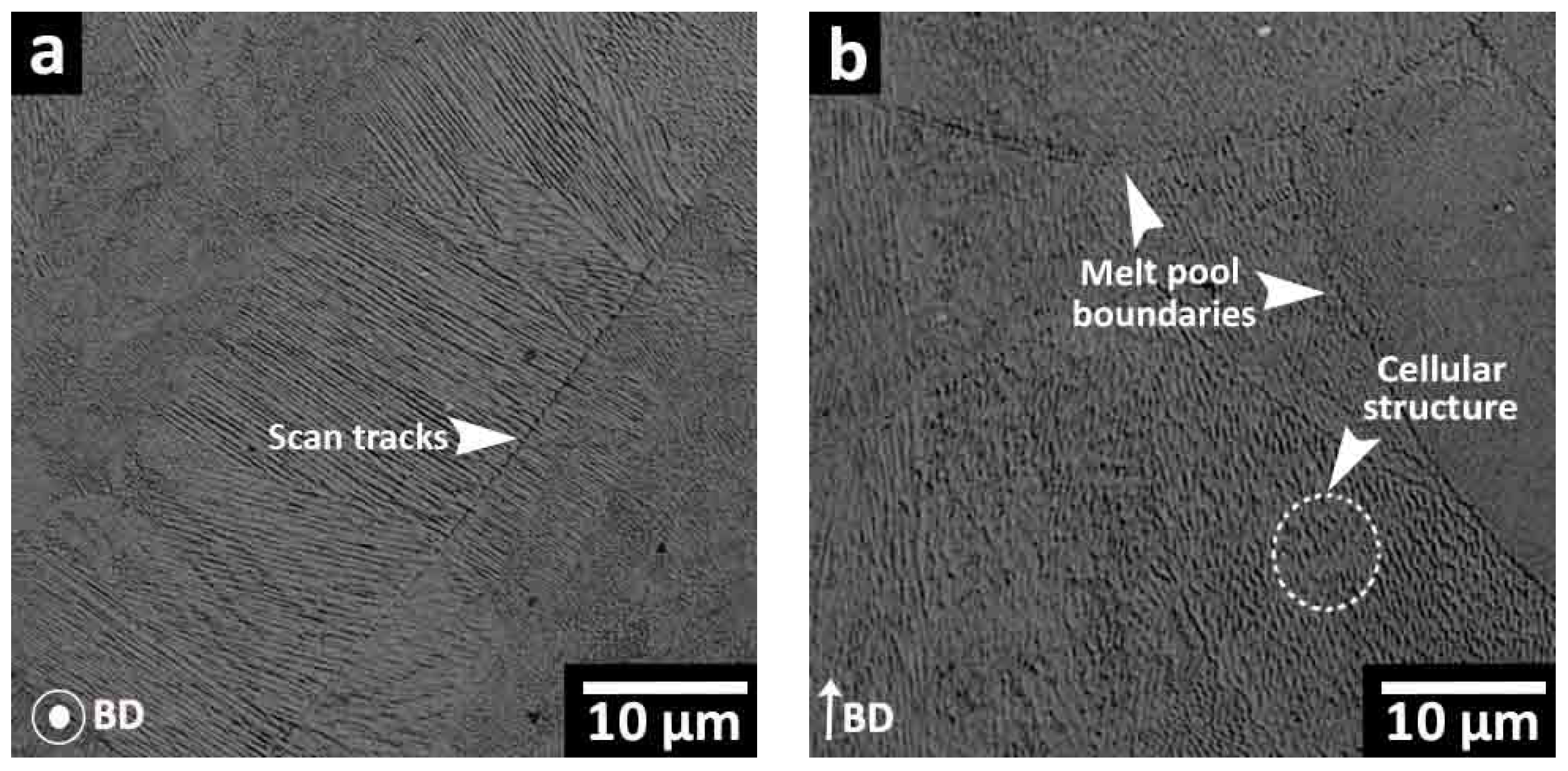 Materials 16 04749 g007