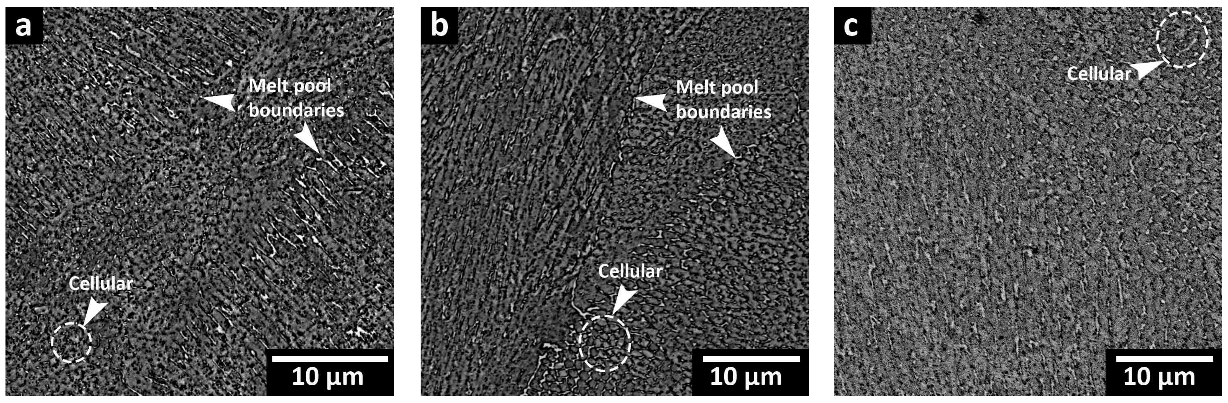 Materials 16 04749 g009