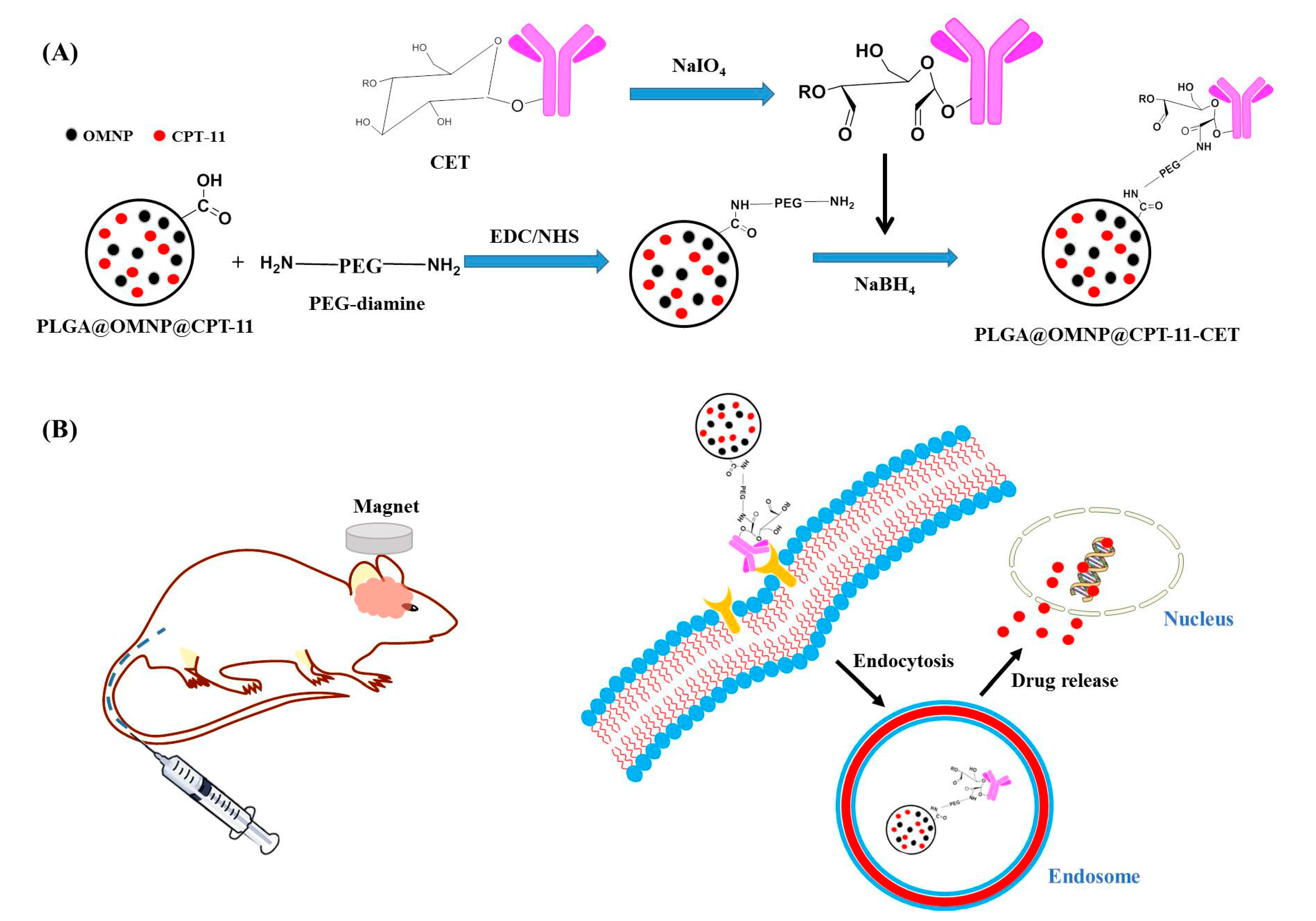 Materials 16 05526 g001