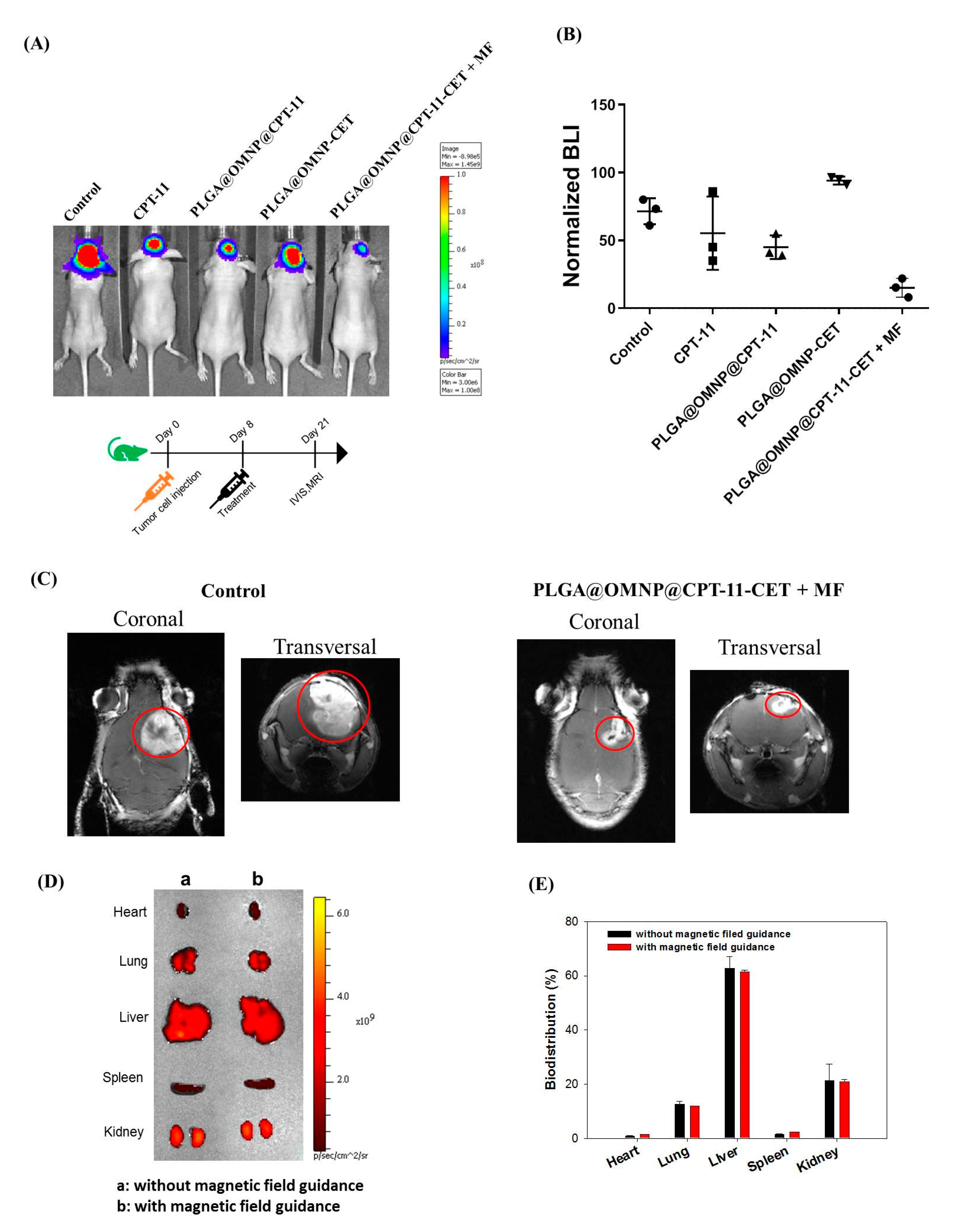 Materials 16 05526 g008