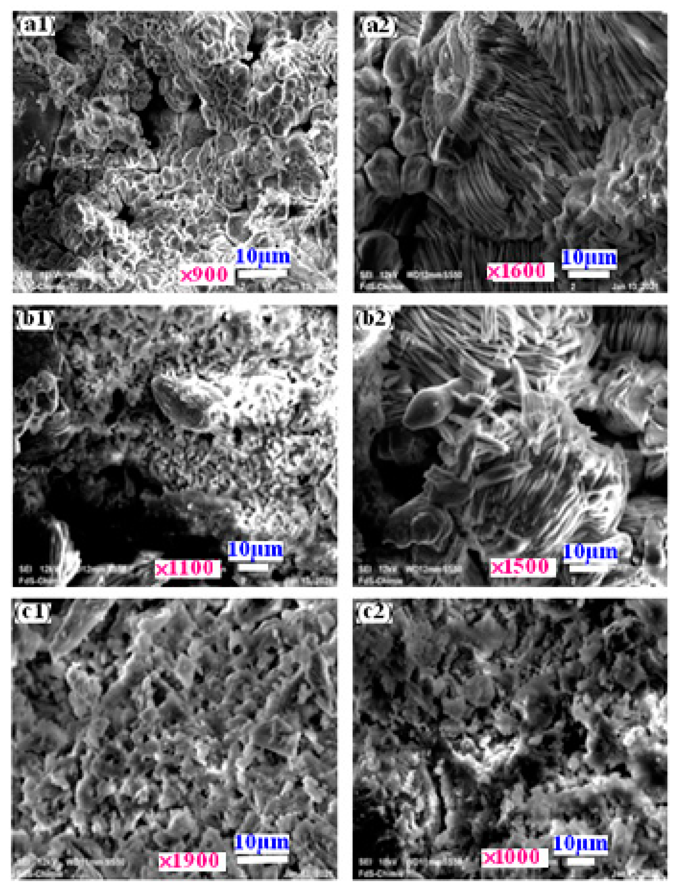 Materials 16 05749 g001