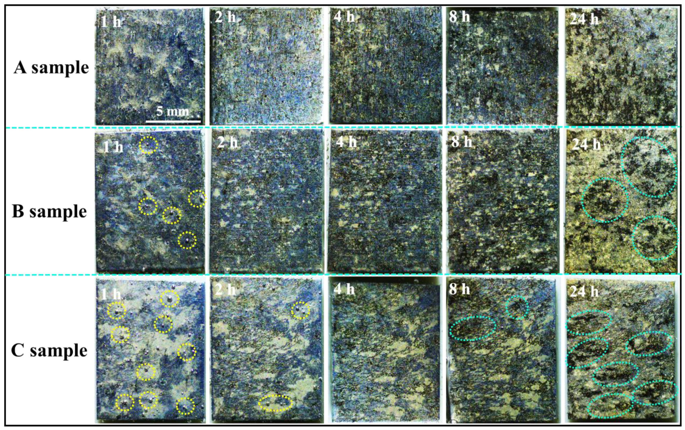 Materials 16 06435 g006