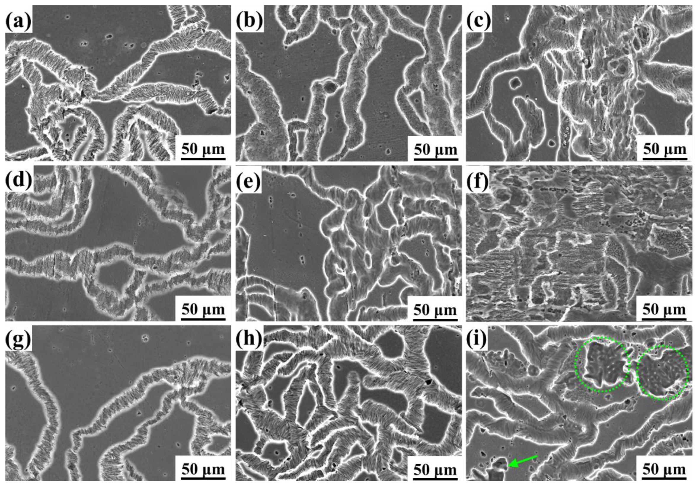 Materials 16 06435 g007