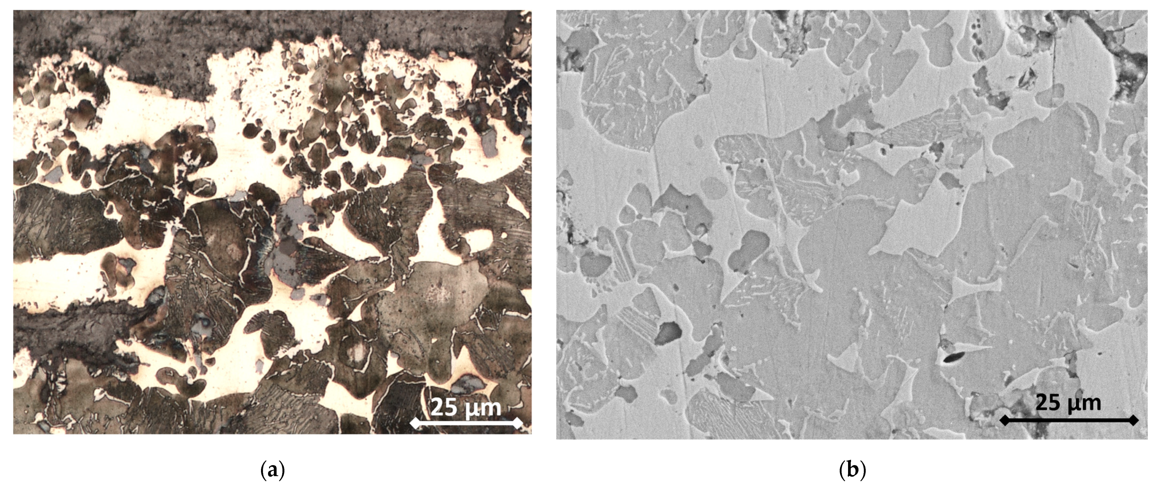 Materials 16 07006 g001