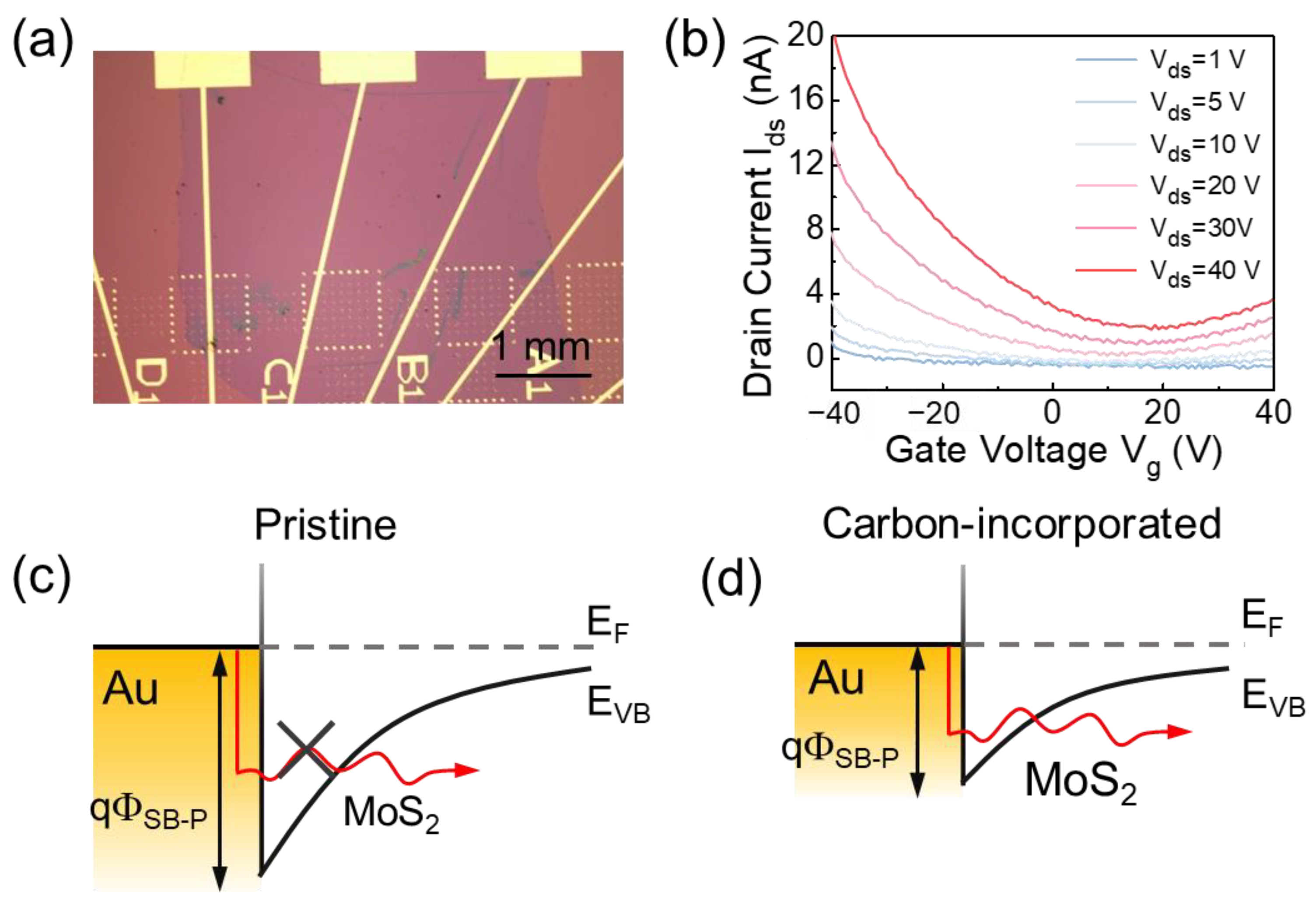 Materials 16 07030 g005