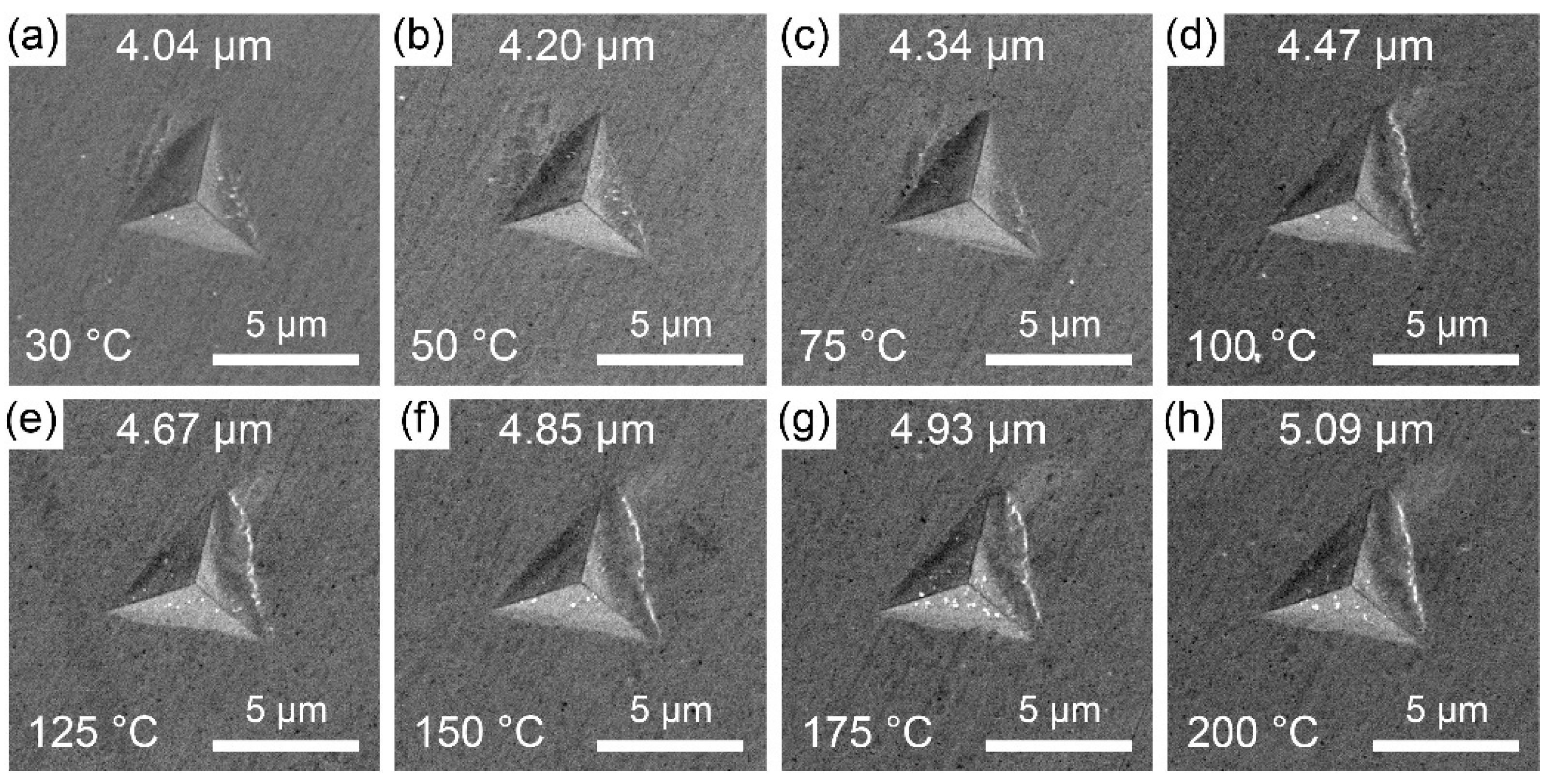 Materials 16 07115 g007