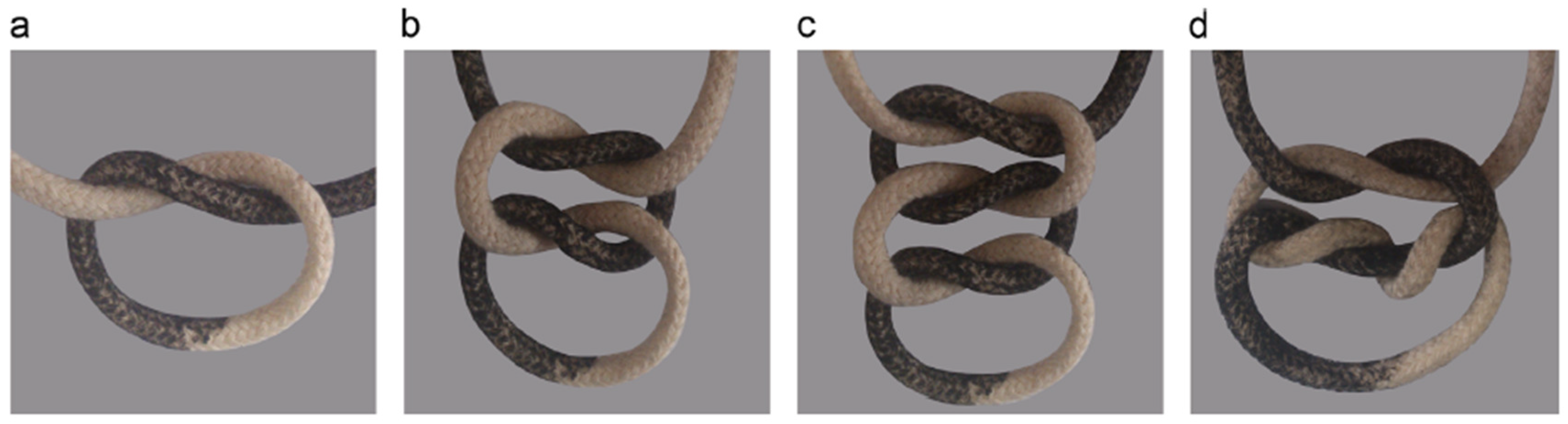 Materials 16 07245 g005