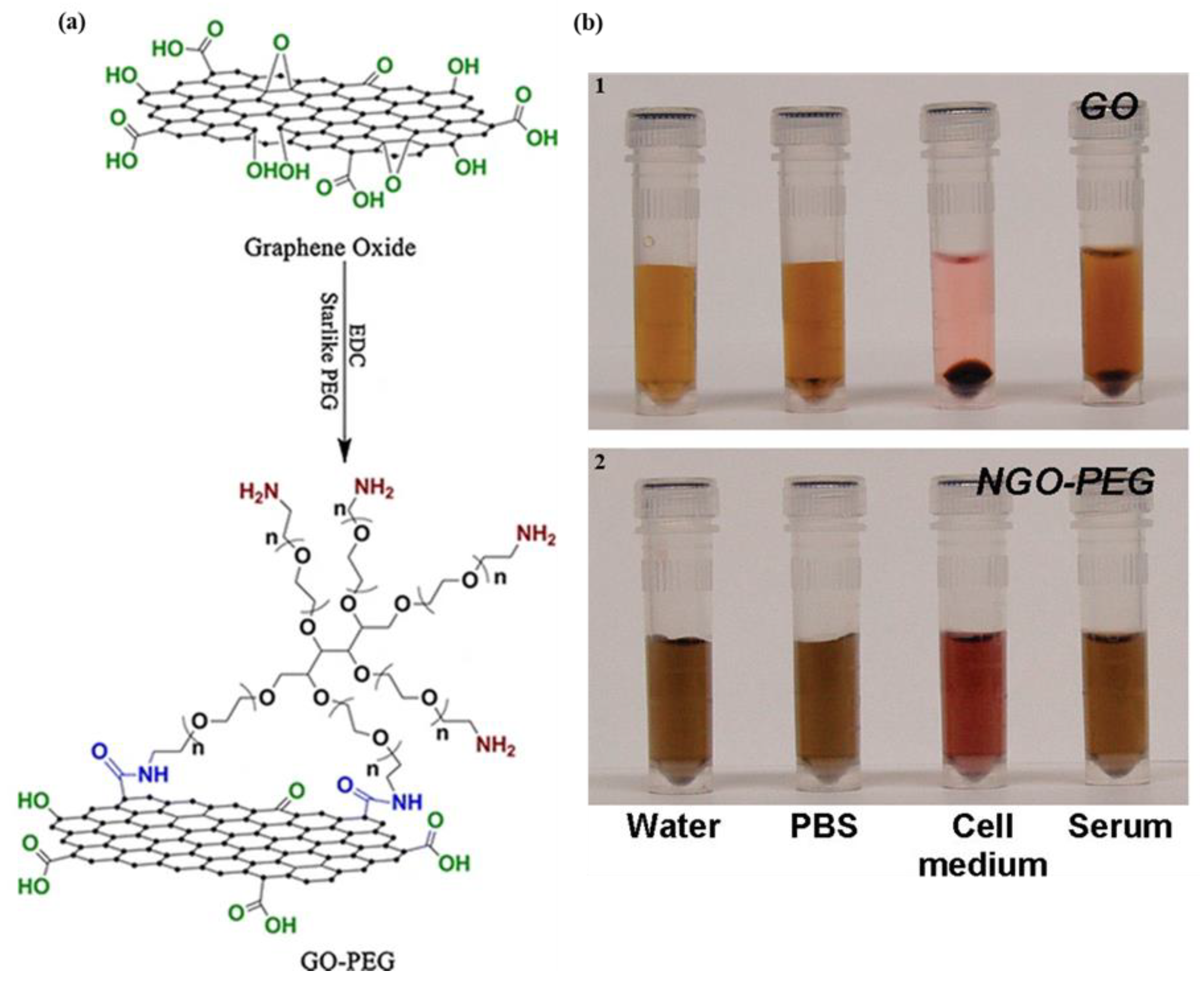 Materials 16 07434 g003