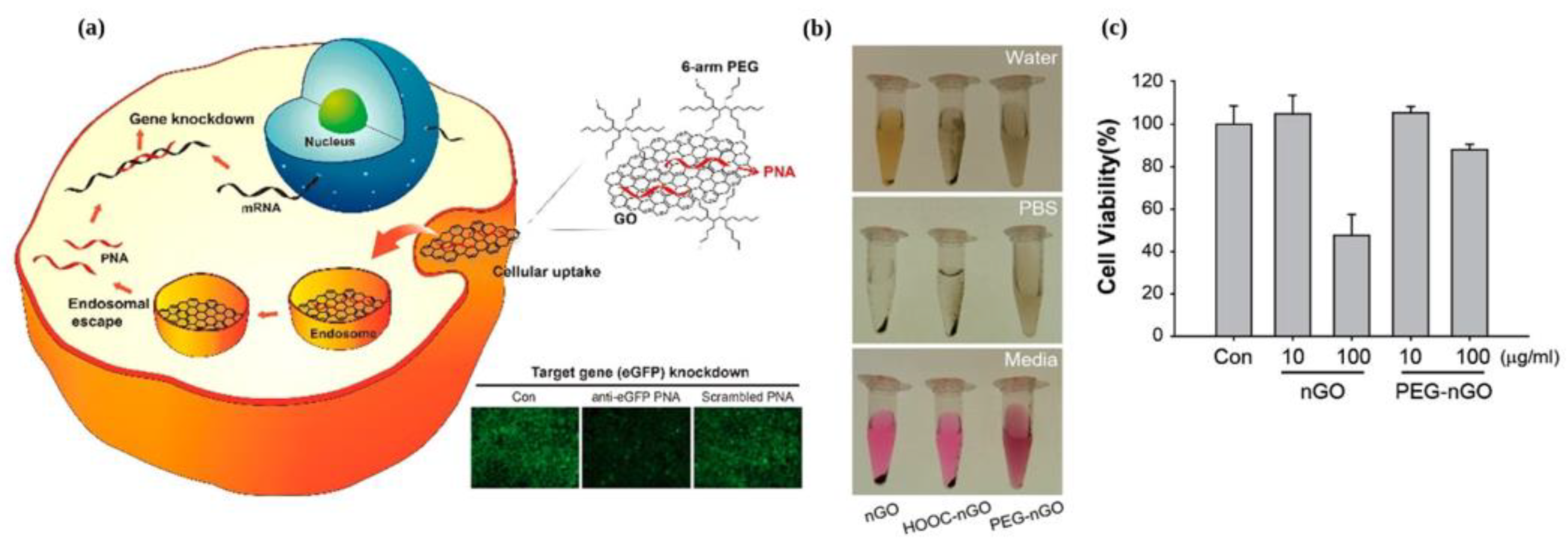 Materials 16 07434 g004