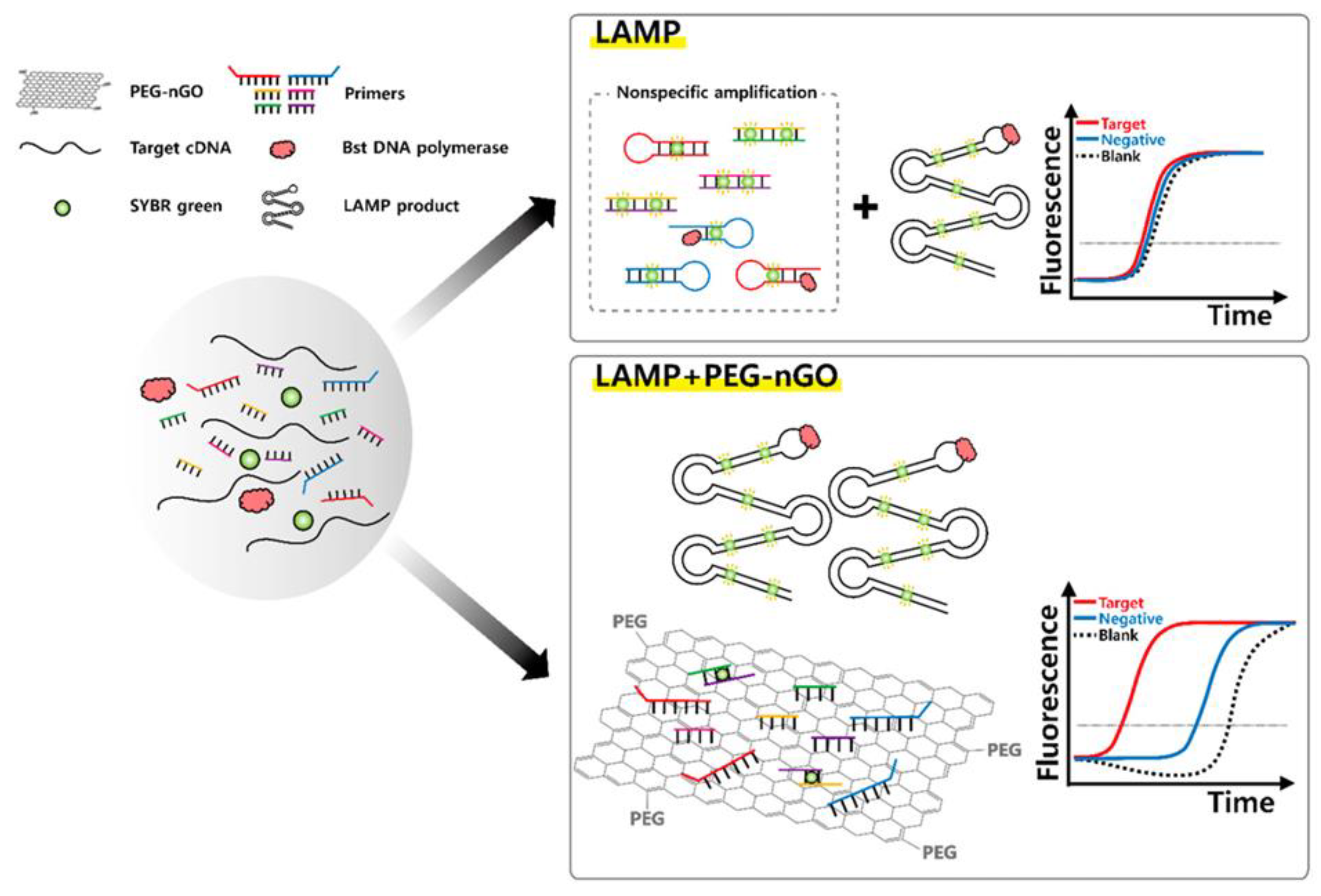 Materials 16 07434 g012