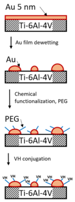 Materials Free Full Text Solid State Dewetting Of Thin Au Films For