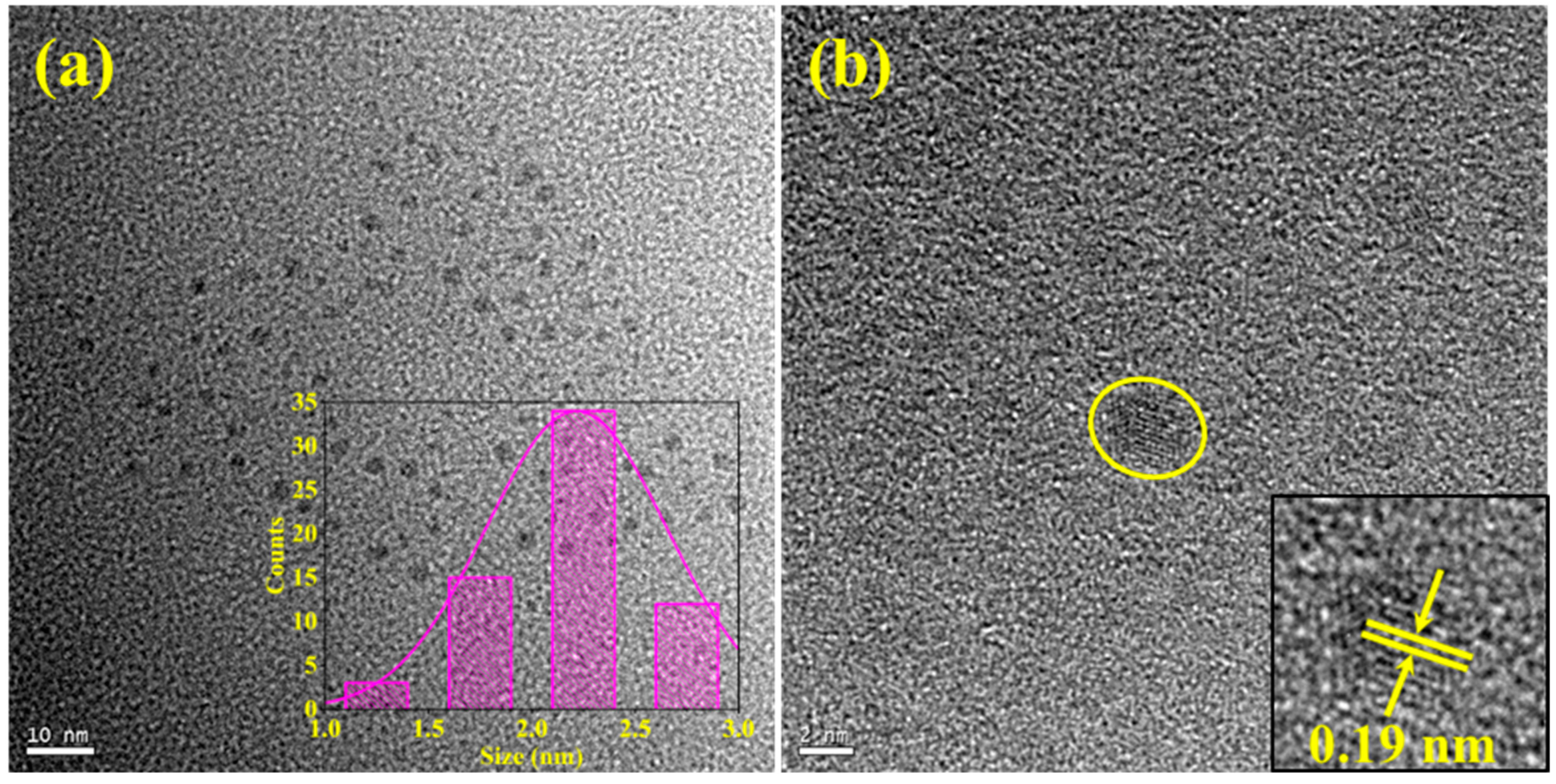 Materials 16 07686 g001