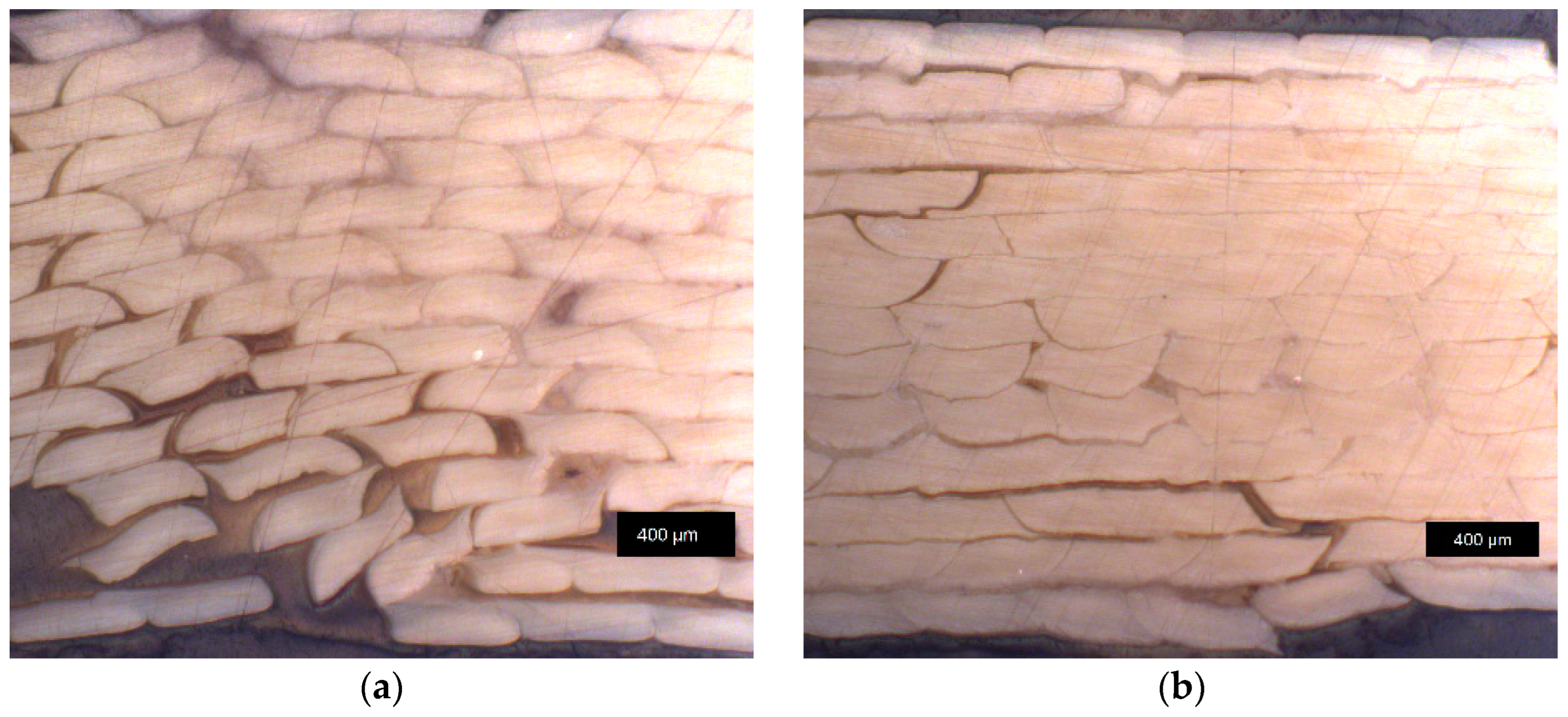 Materials 17 00152 g005