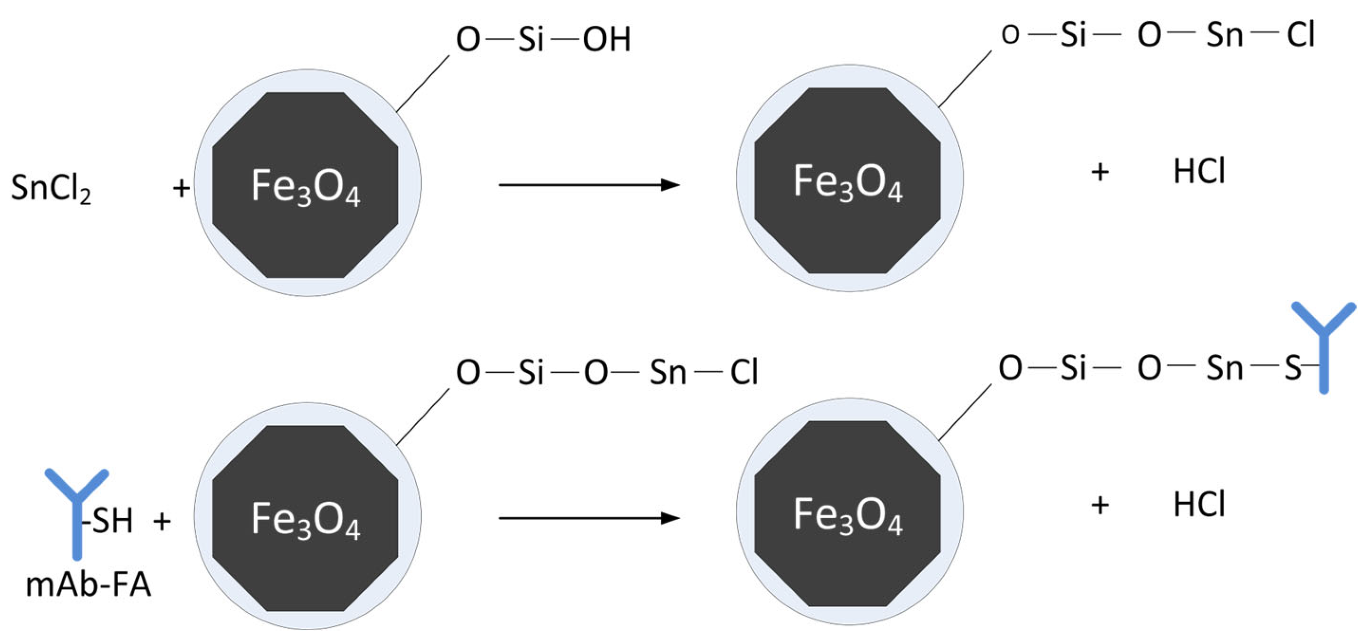 Materials 17 00349 g001