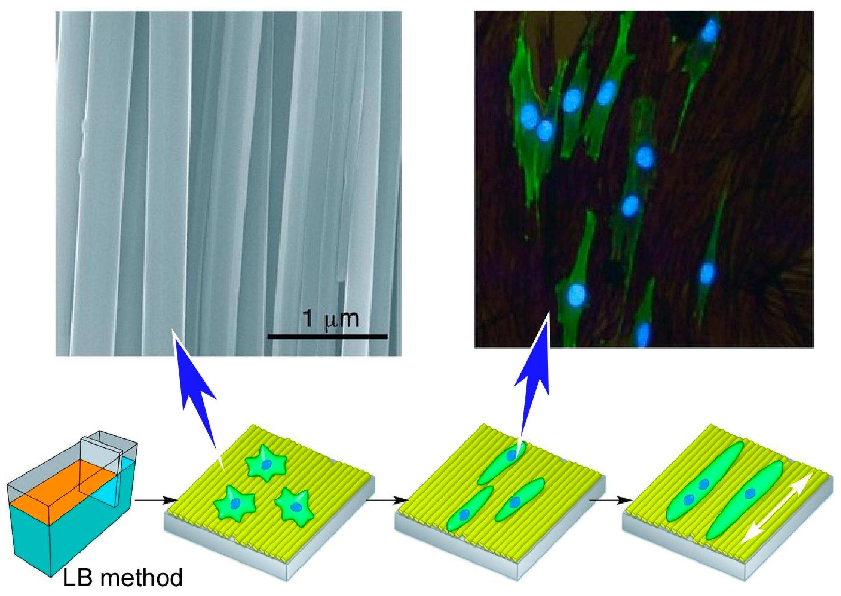 Materials 17 00936 g020