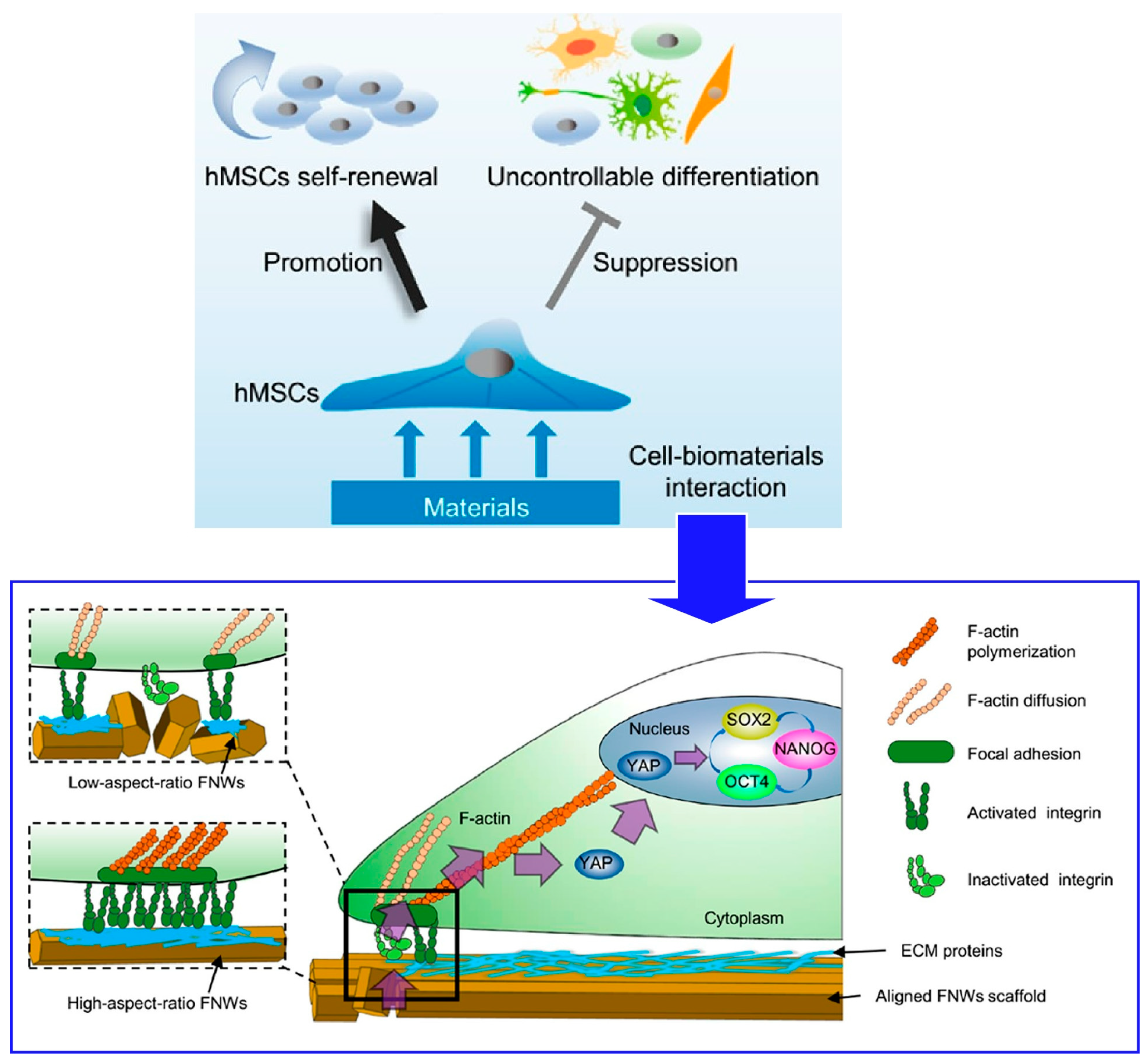 Materials 17 00936 g021