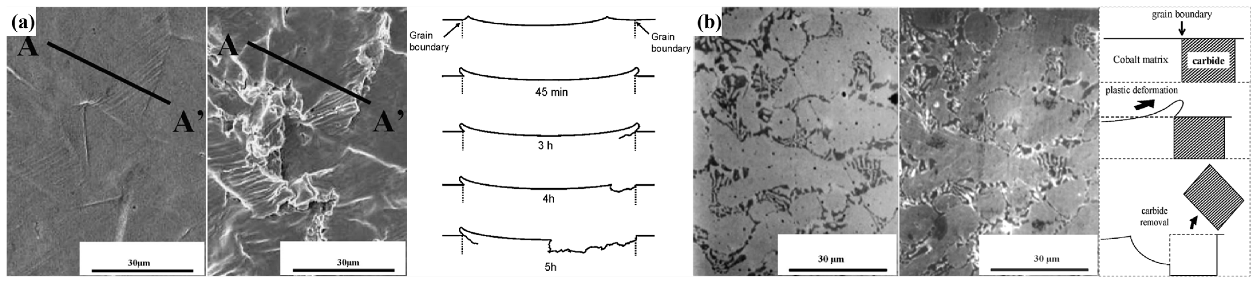 Materials 17 01007 g005