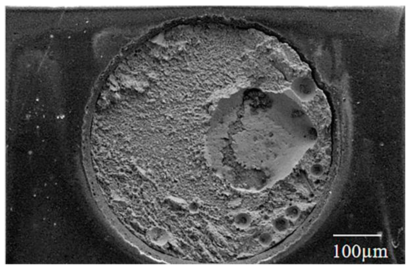 Materials 17 01055 g008