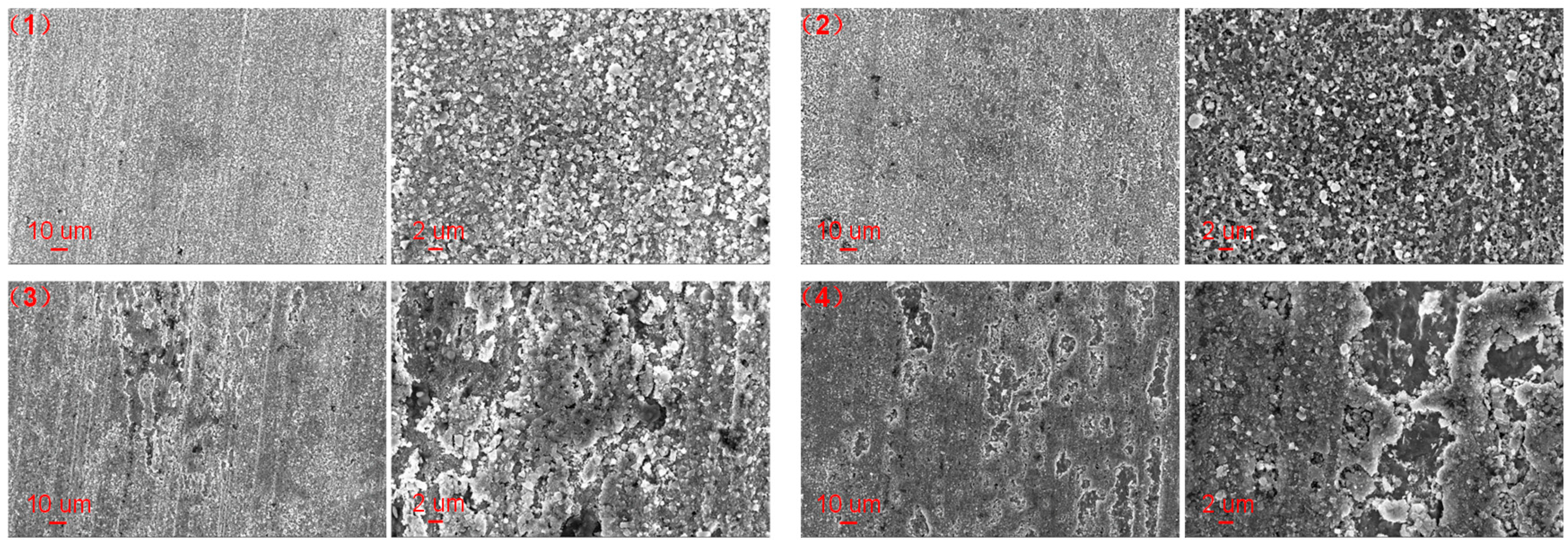 Materials 17 01063 g012