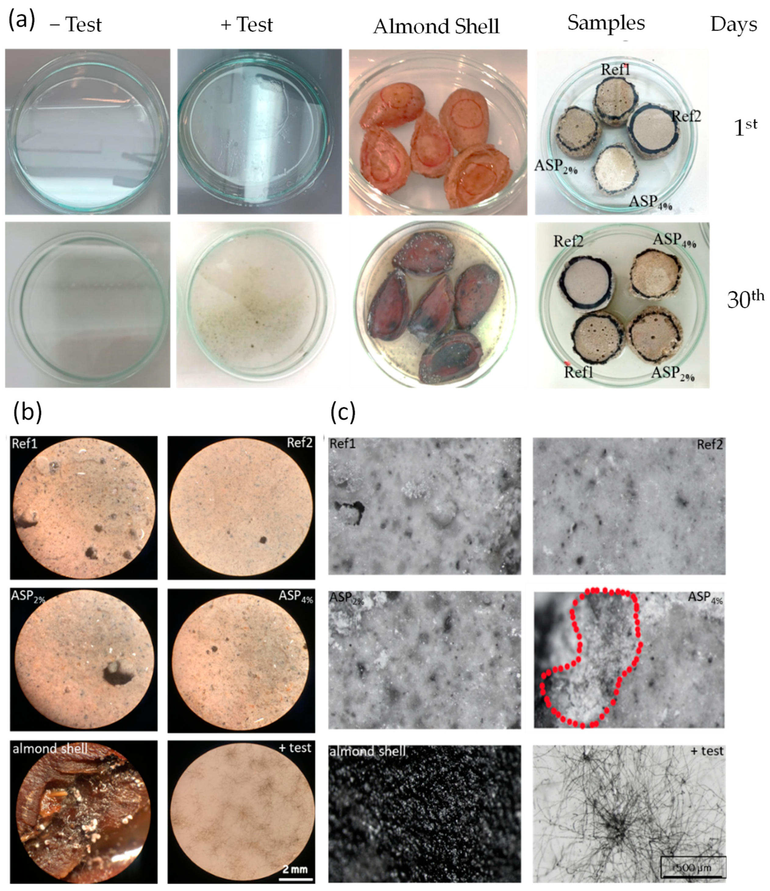 Materials 17 01426 g008