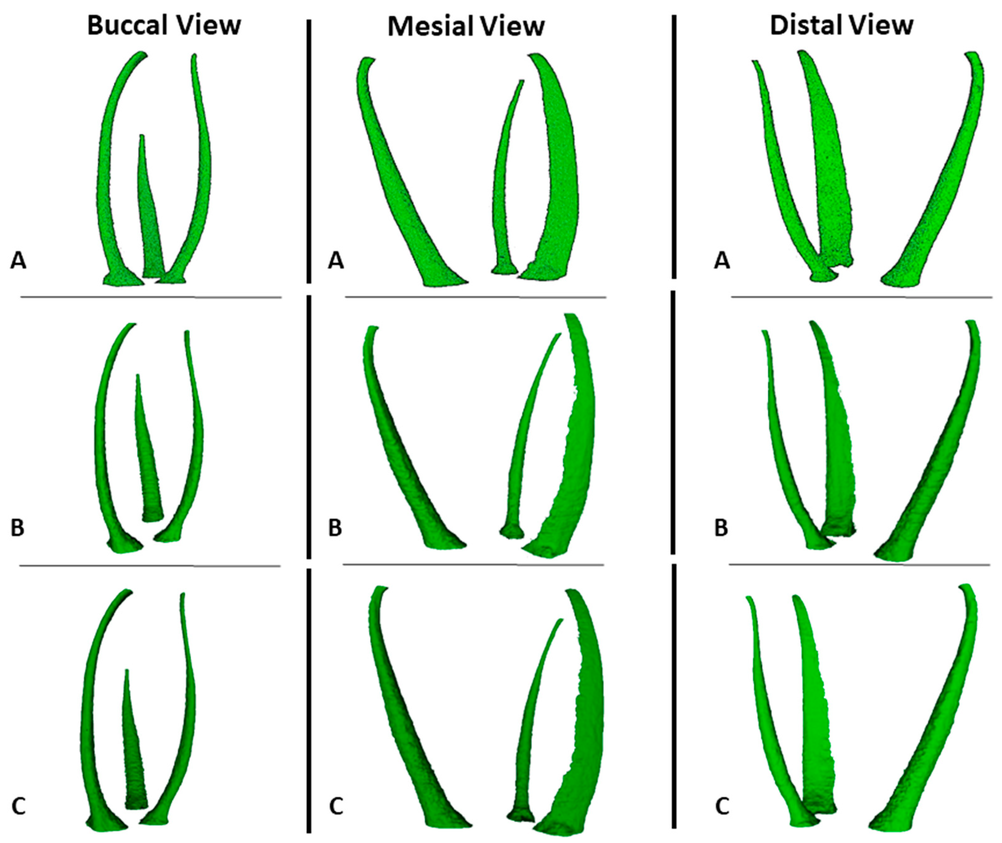 Materials 17 01899 g005
