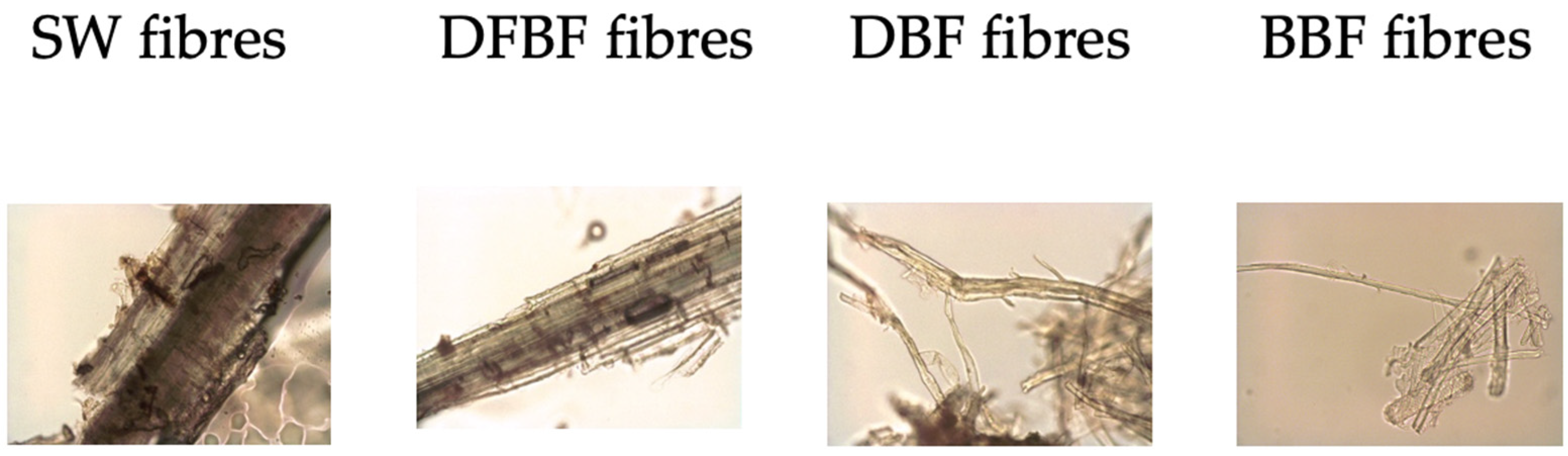 Materials 17 01901 g004