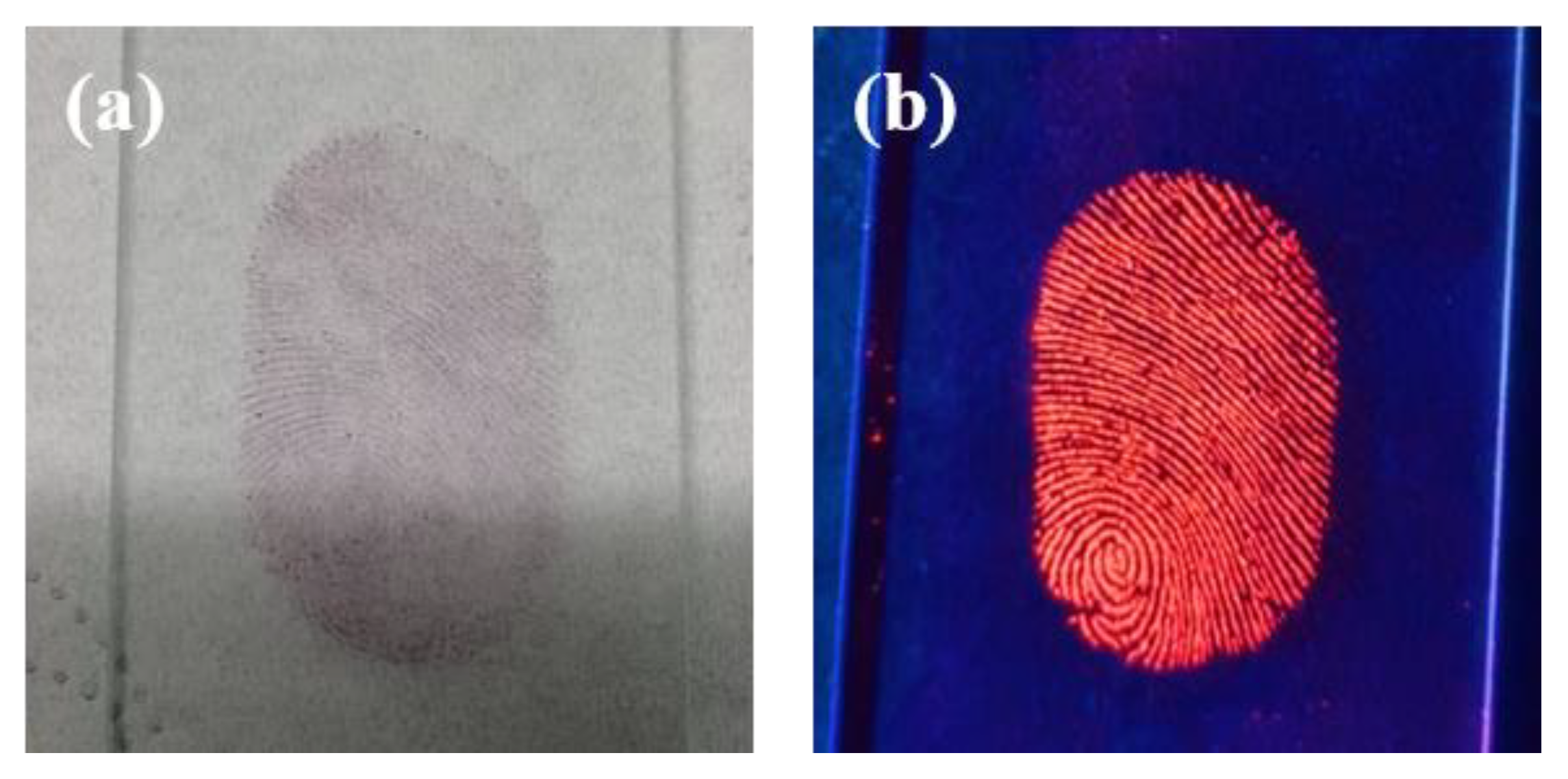 Materials 17 01917 g009