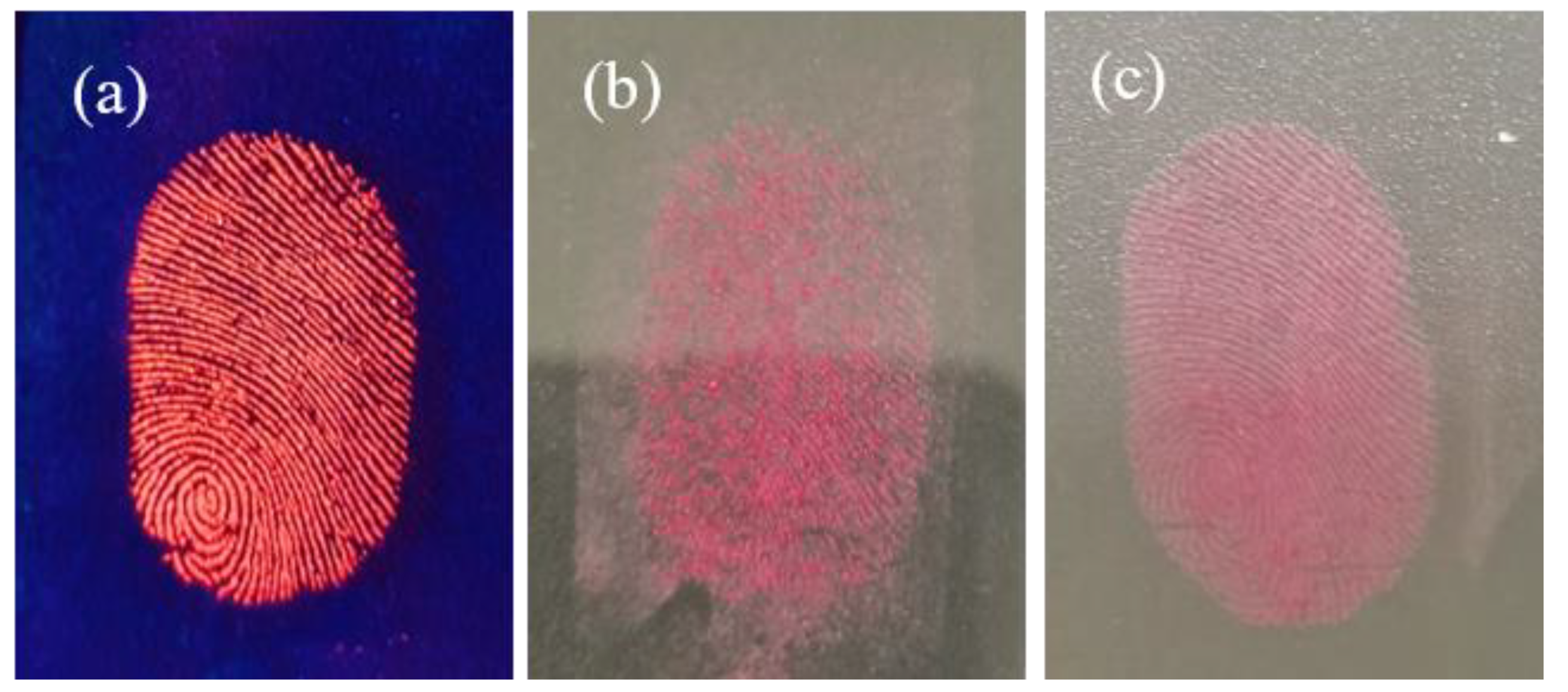 Materials 17 01917 g011