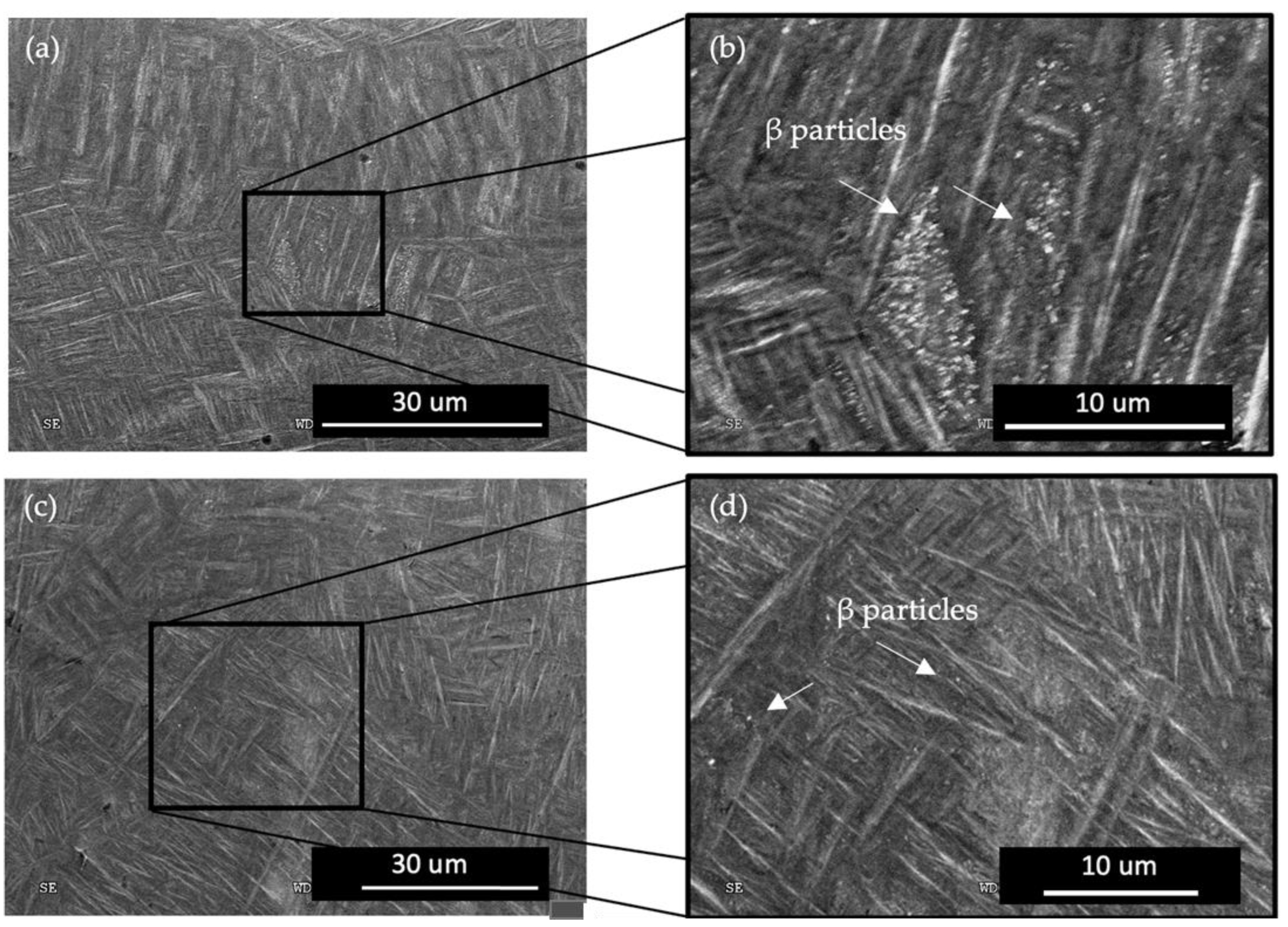 Materials 17 01929 g005