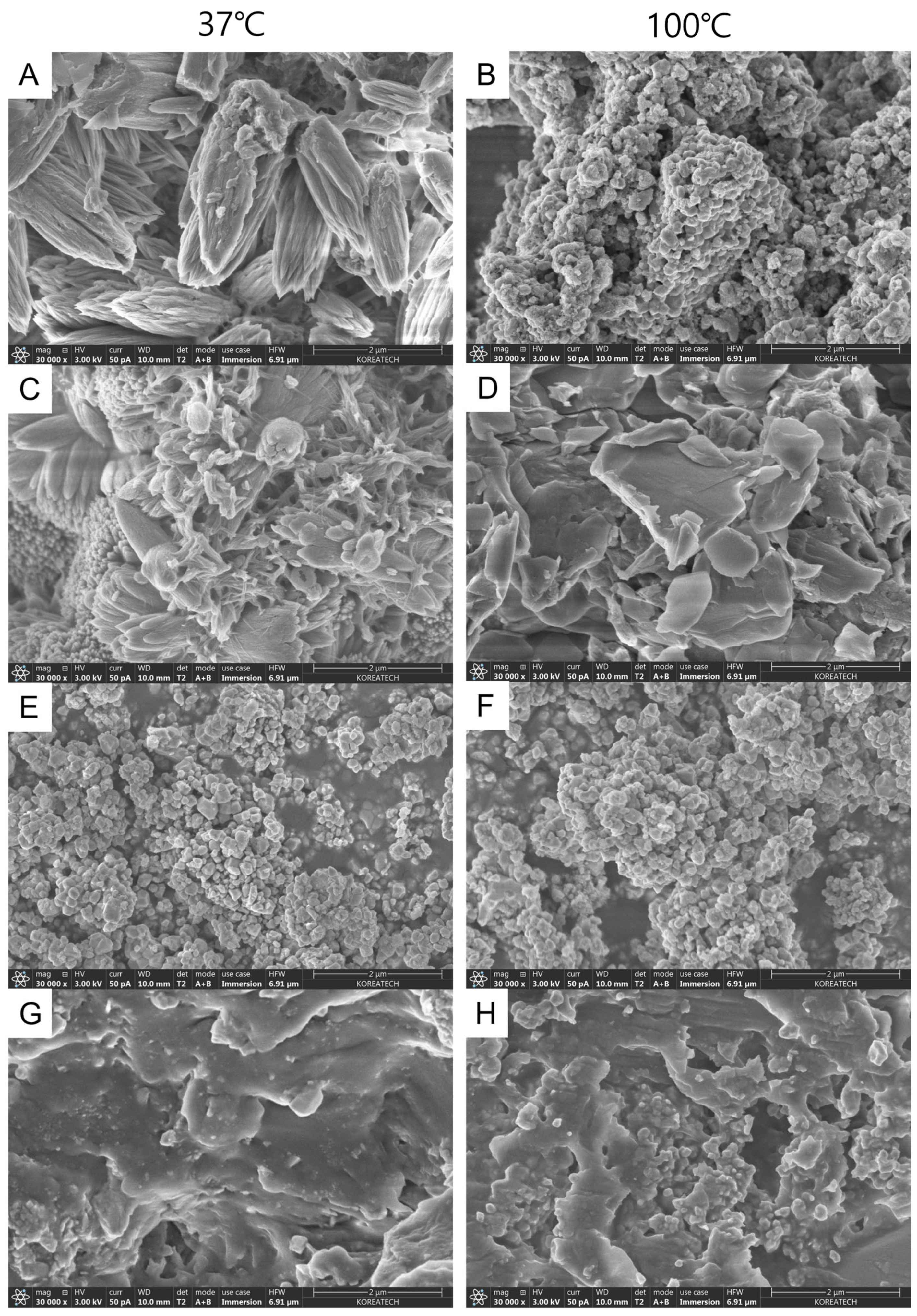 Materials 17 01932 g006