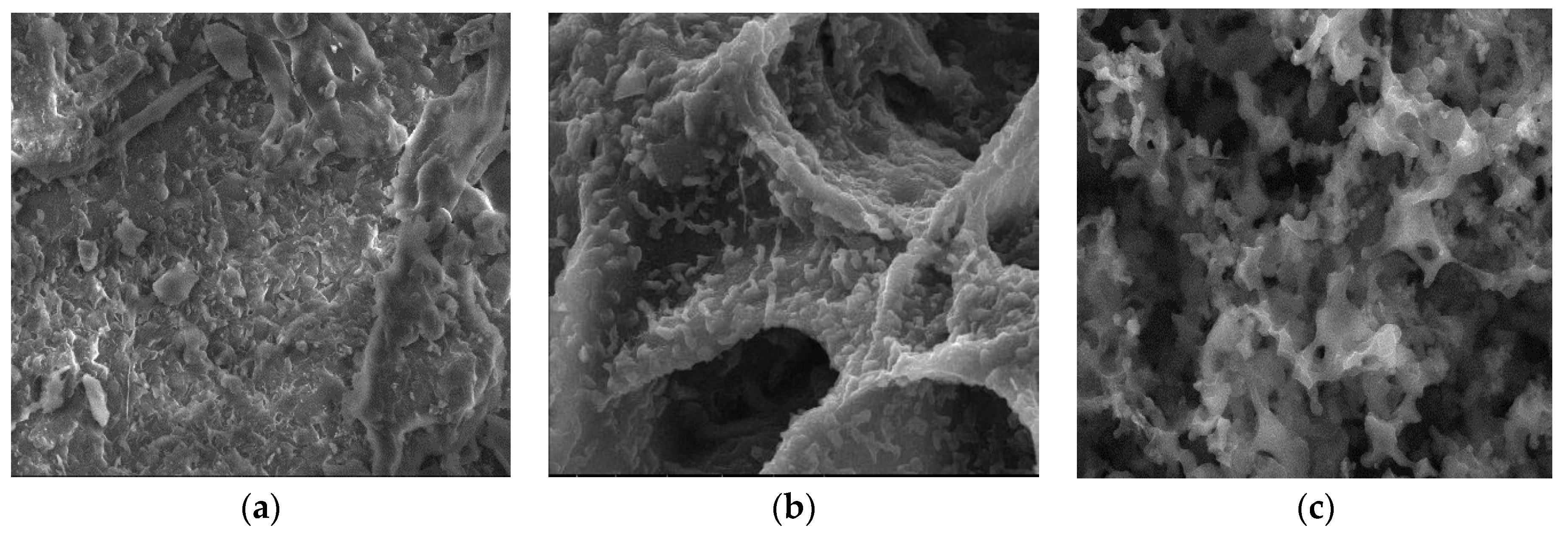 Materials 17 01954 g008