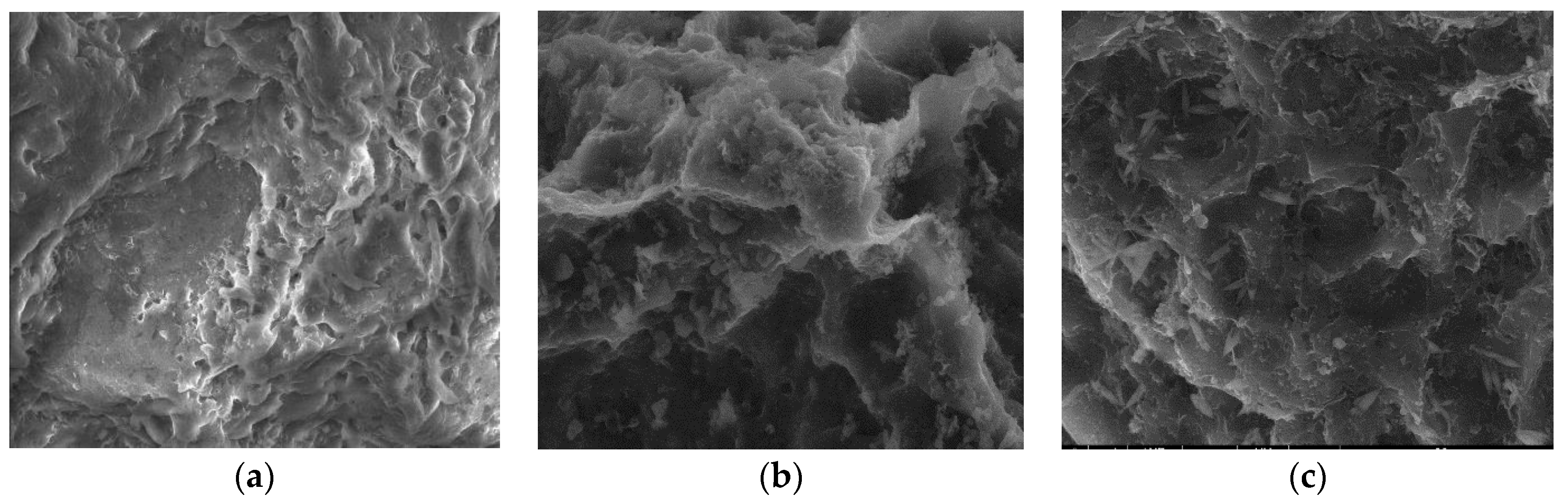 Materials 17 01954 g010