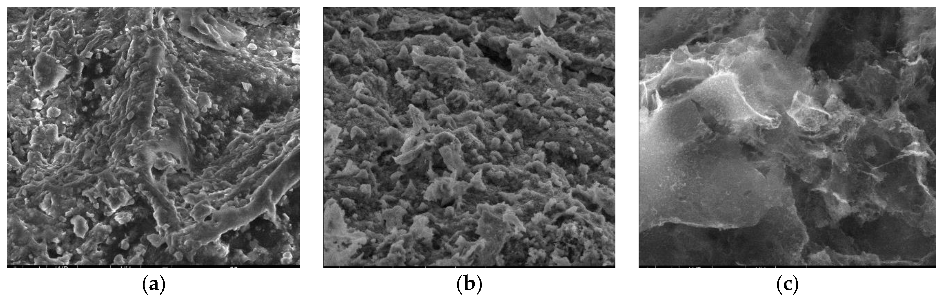 Materials 17 01954 g011