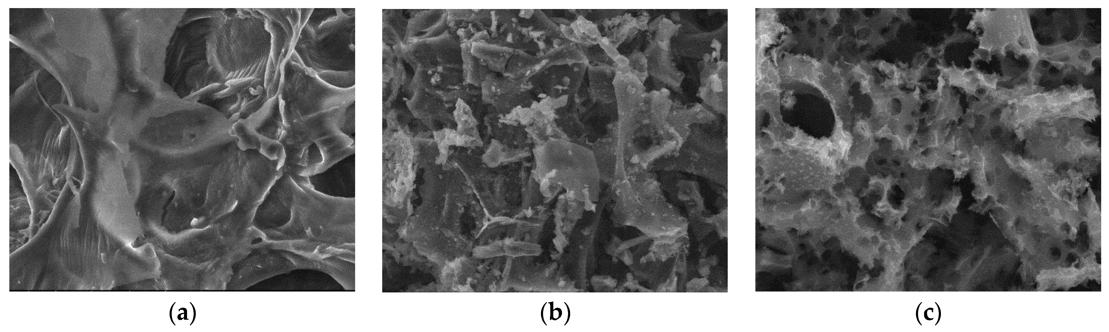 Materials 17 01954 g012