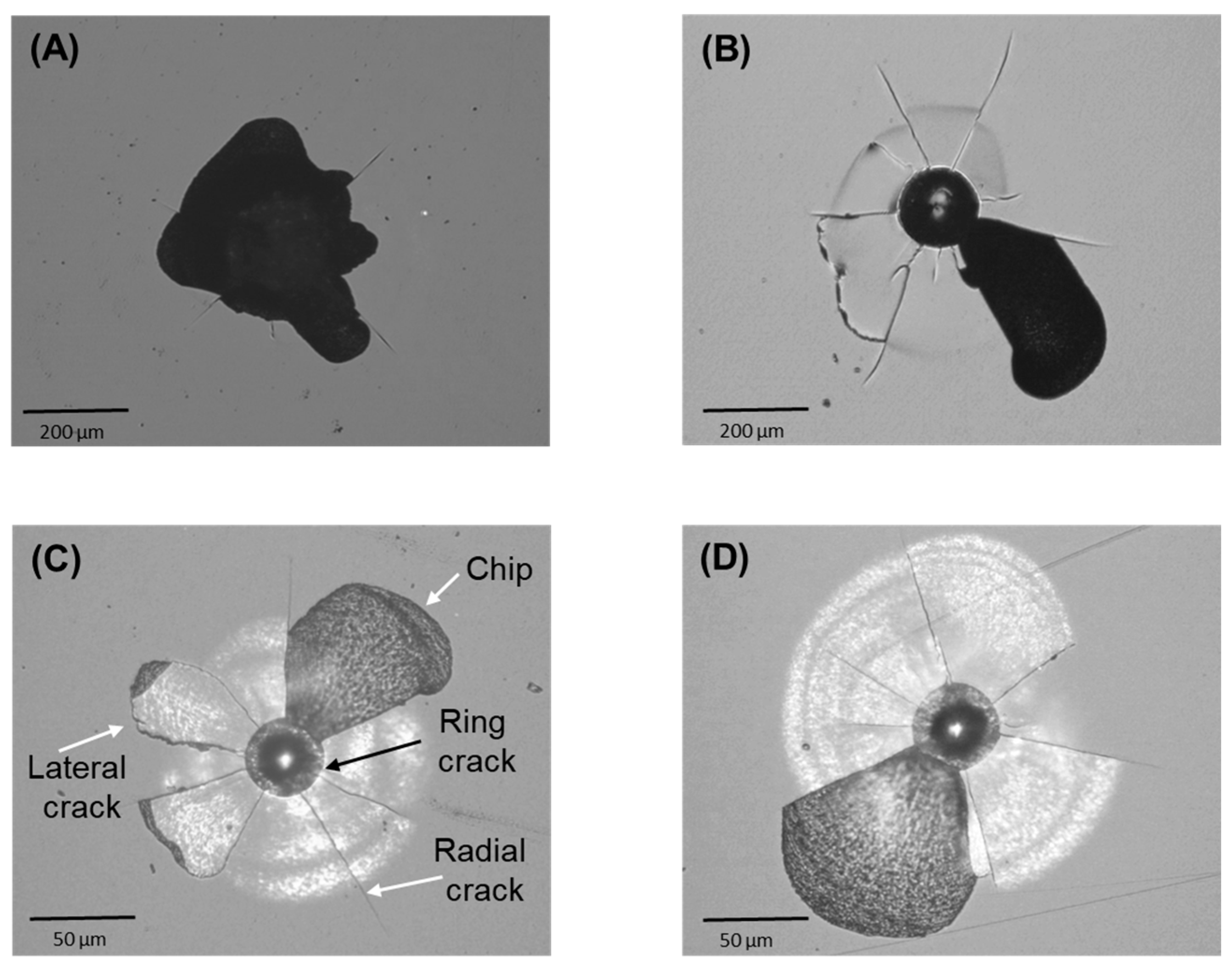 Materials 17 01961 g003