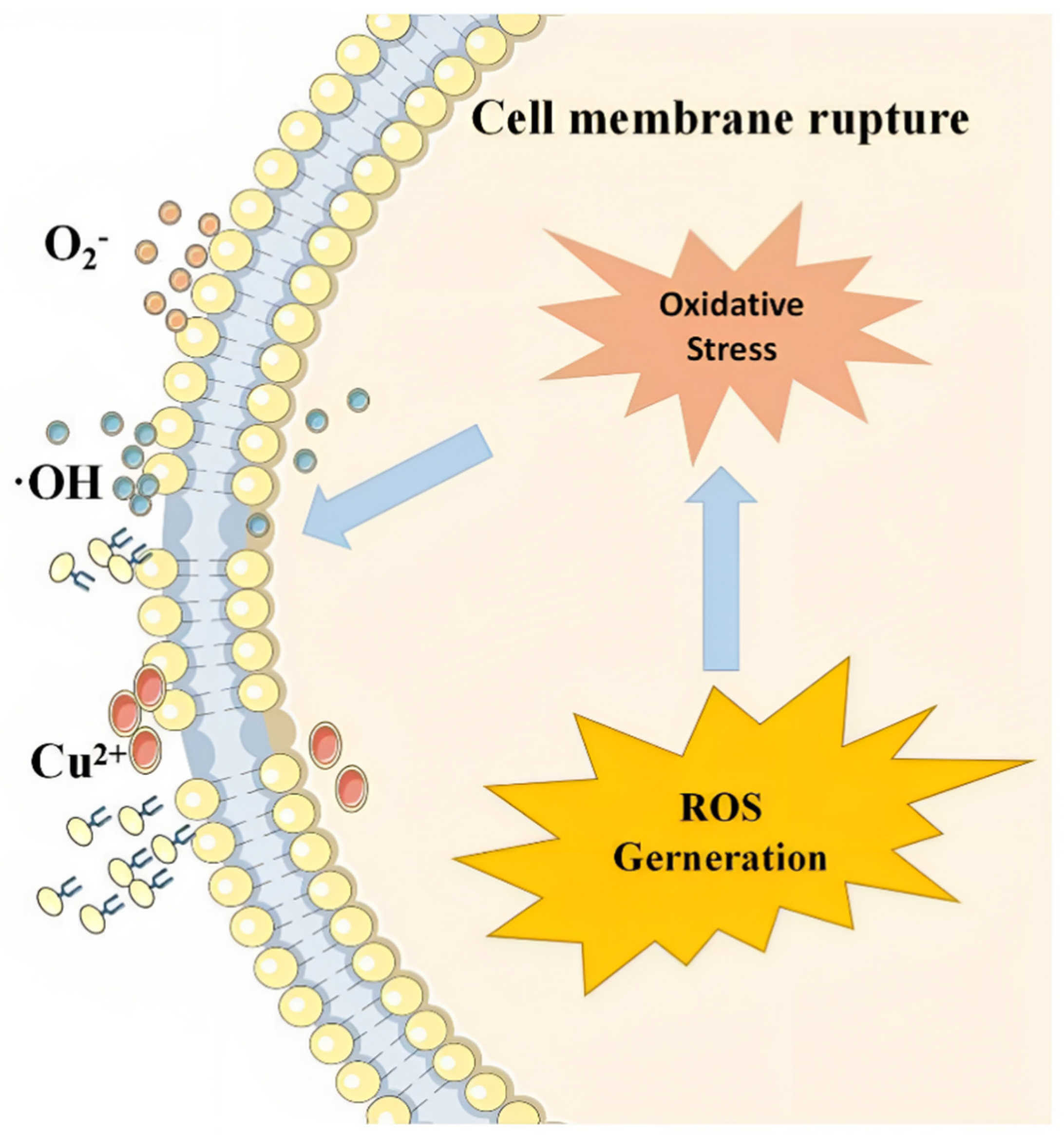 Materials 17 01972 g003