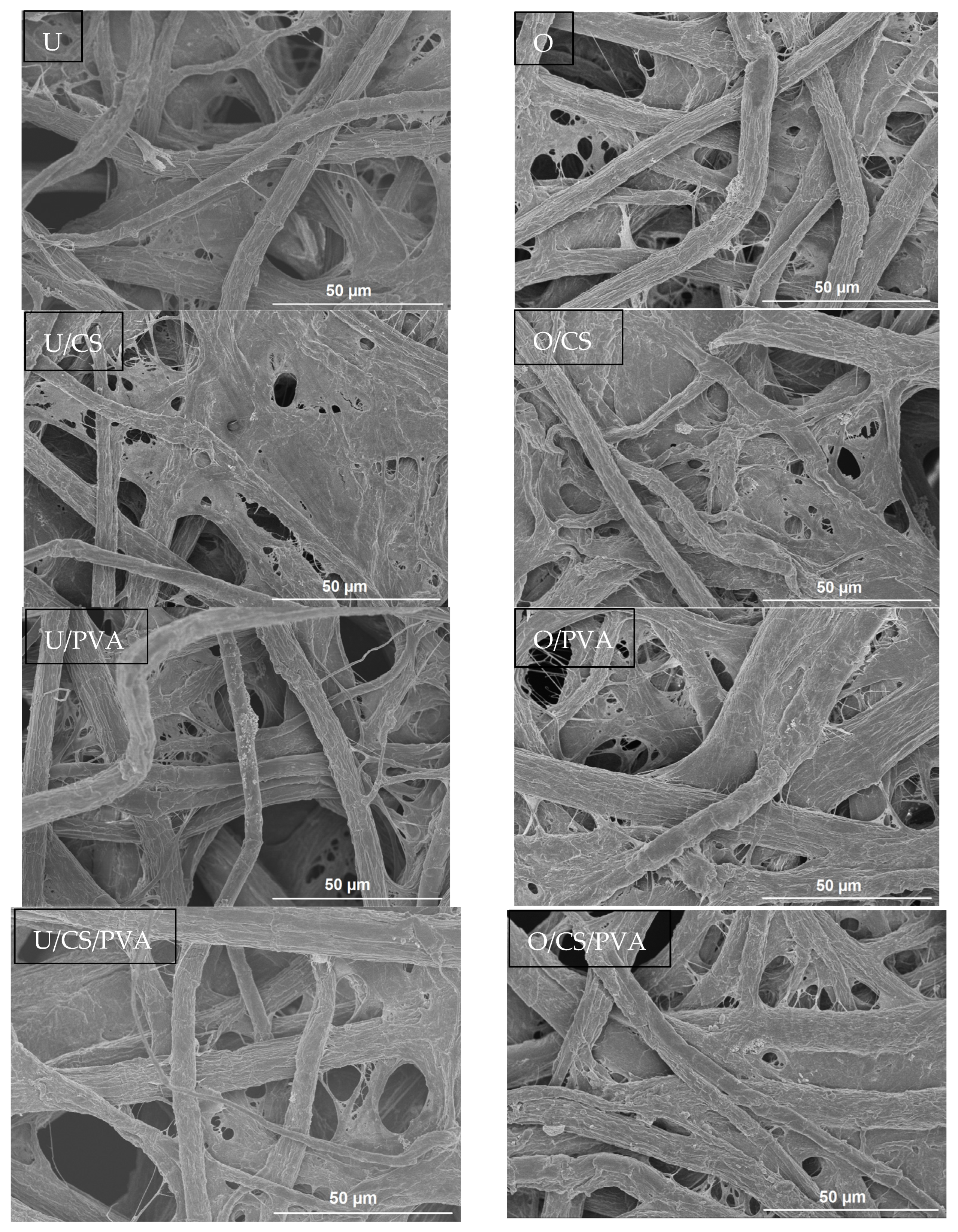 Materials 17 01977 g004