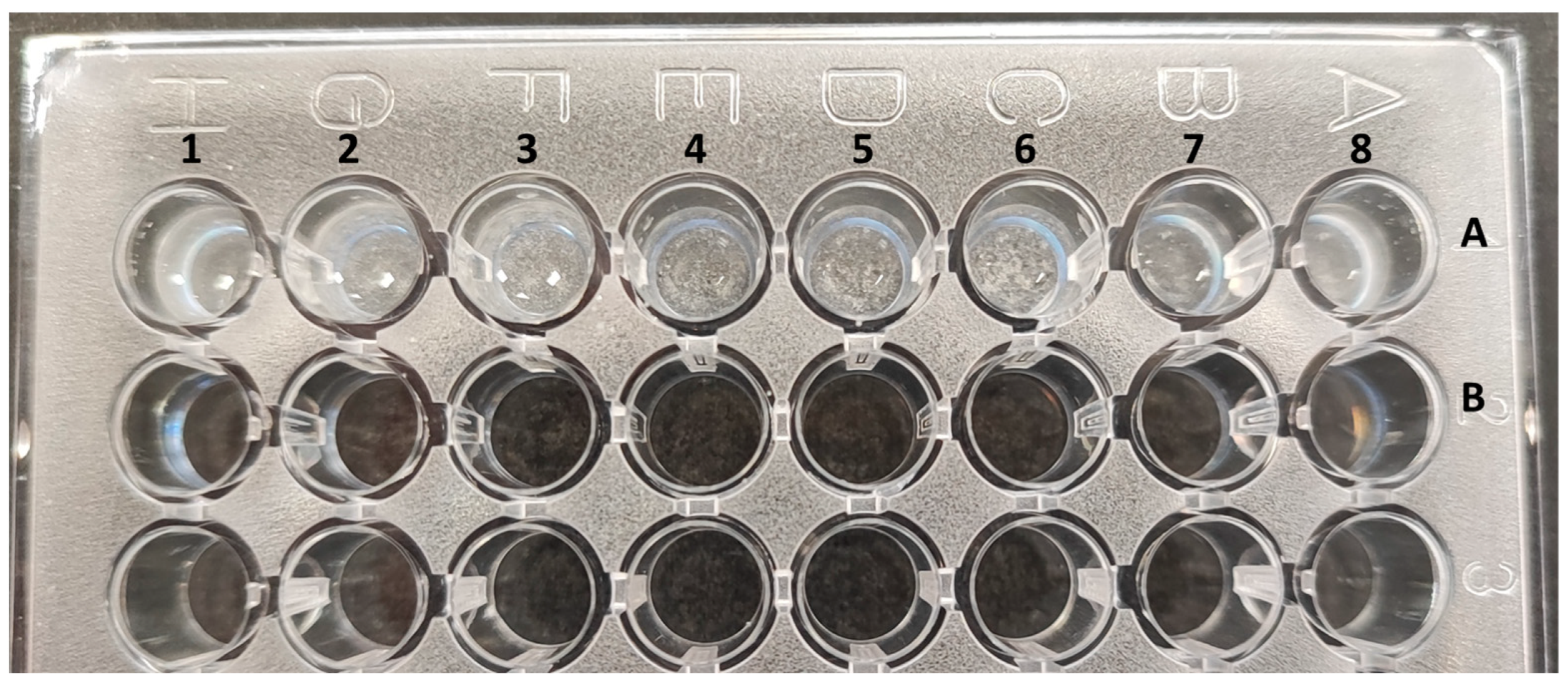 Materials 17 02059 g004