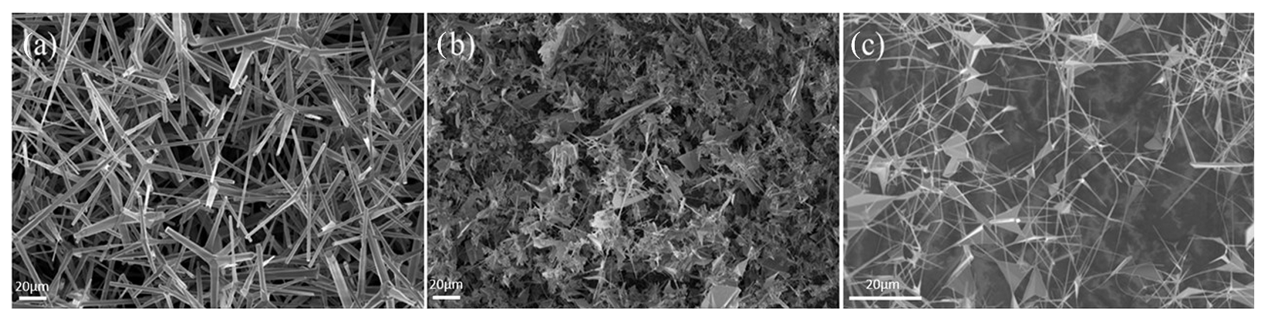 Materials 17 02112 g001