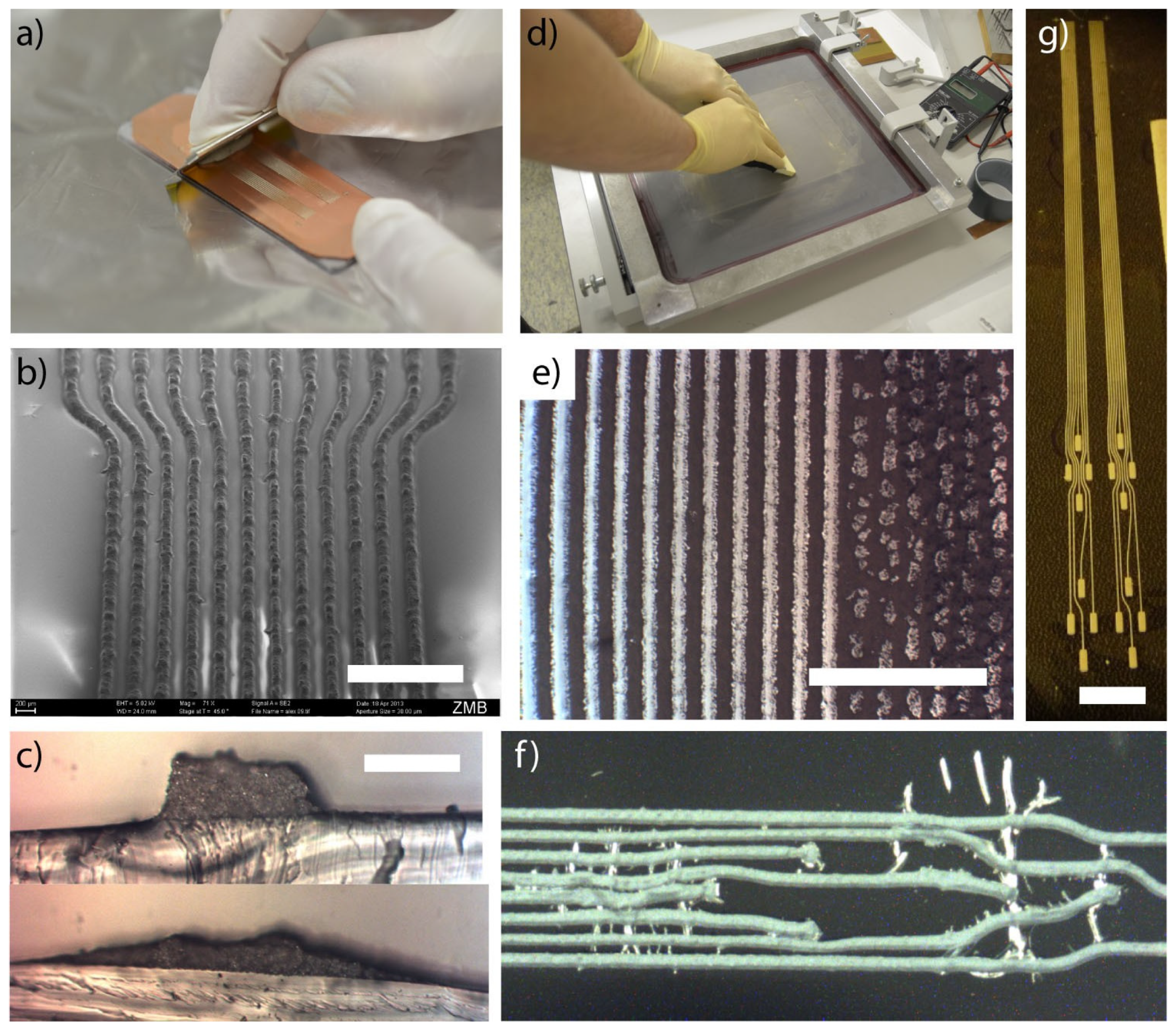 Materials 17 02124 g019